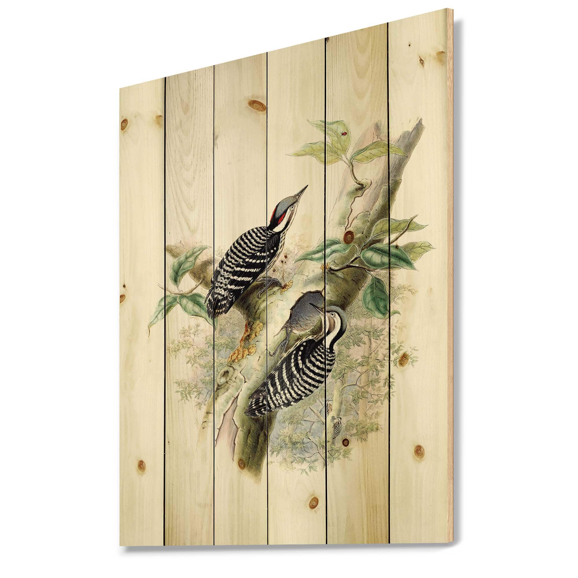 Designart - Vintage Birds In The Wild V - Traditional Print on Natural Pine Wood