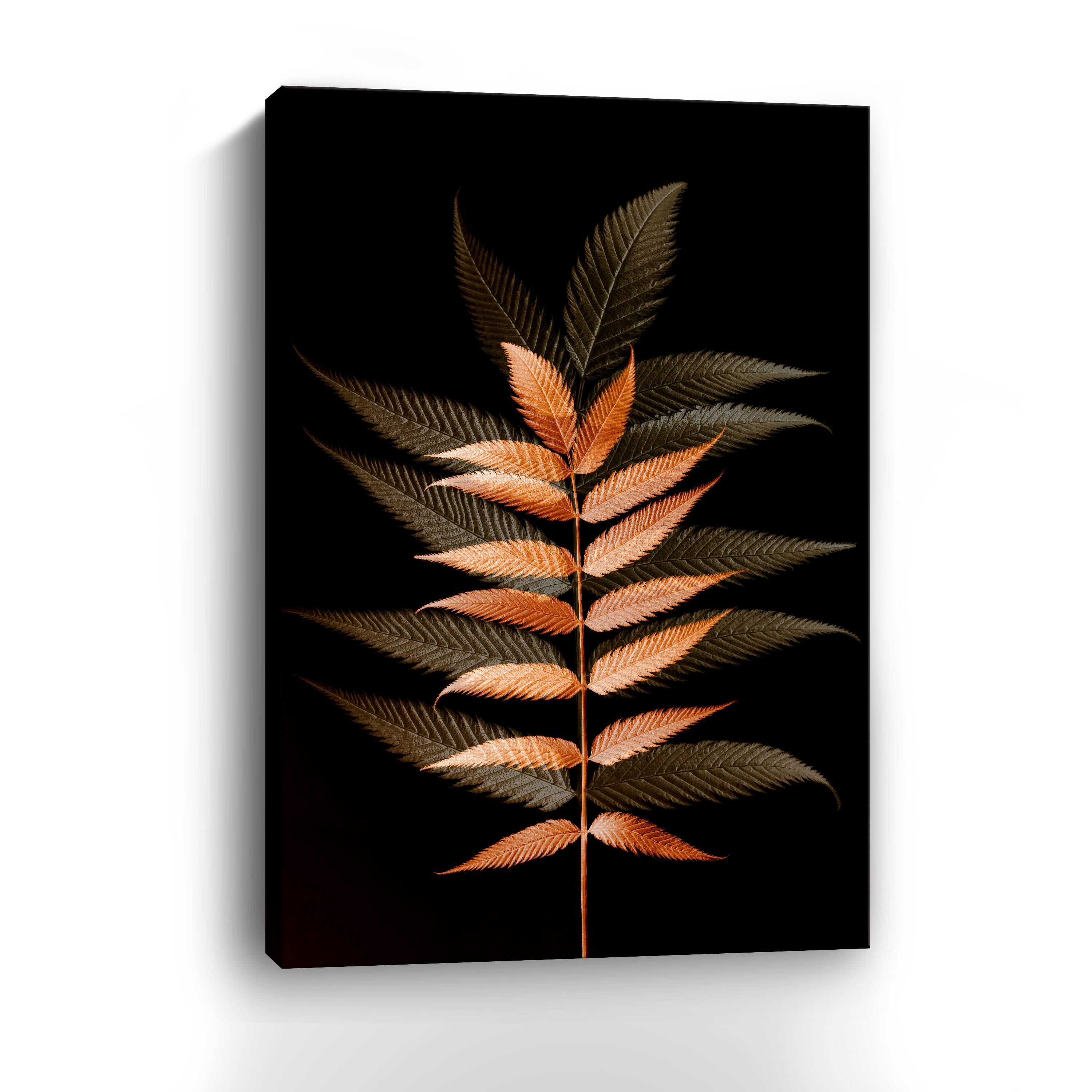 Fall Leaves 6 Canvas Giclee