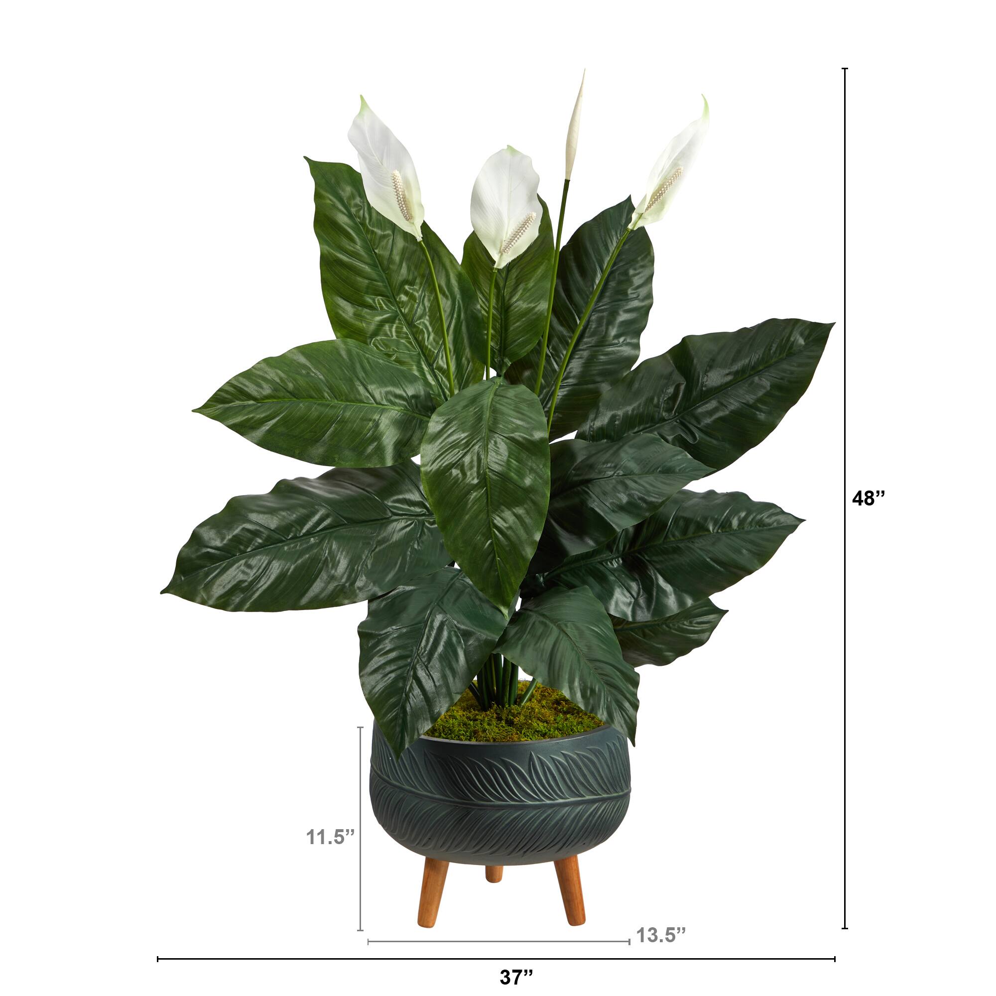 4ft. Peace Lily Plant in Black Planter with Stand