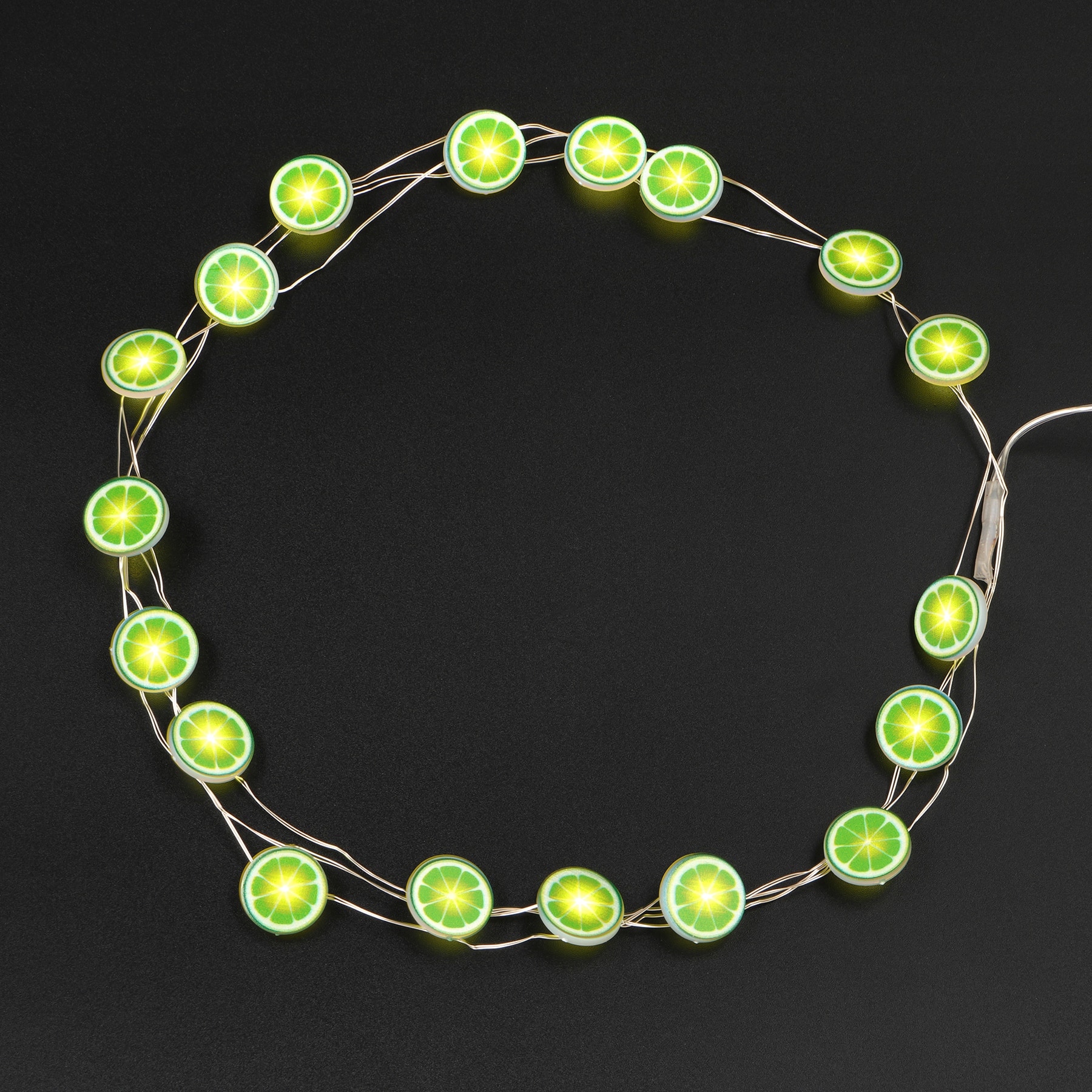 18ct. Lime Icon Warm White LED String Lights by Ashland&#xAE;