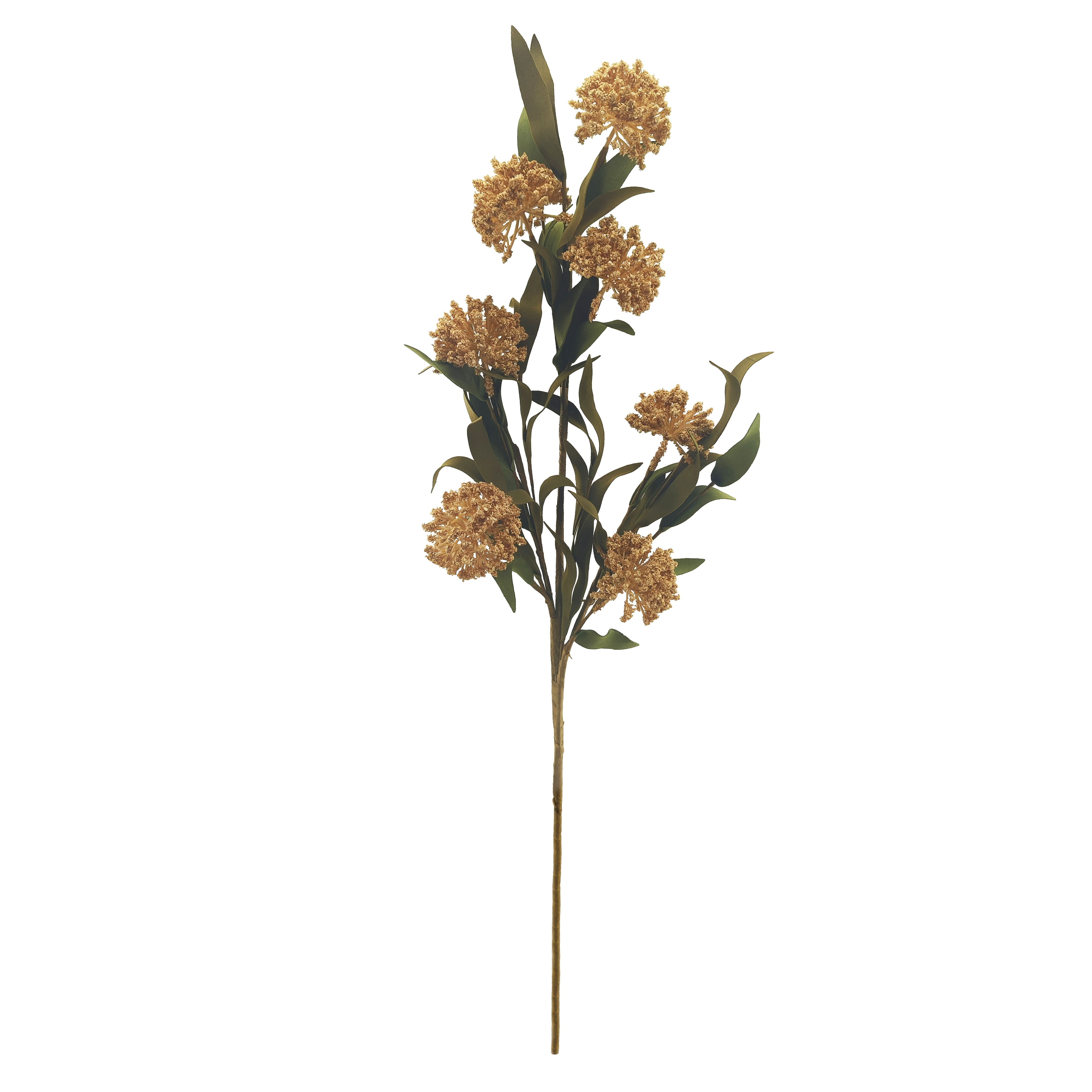 30&#x22; Cream Sedum Stem by Ashland&#xAE;