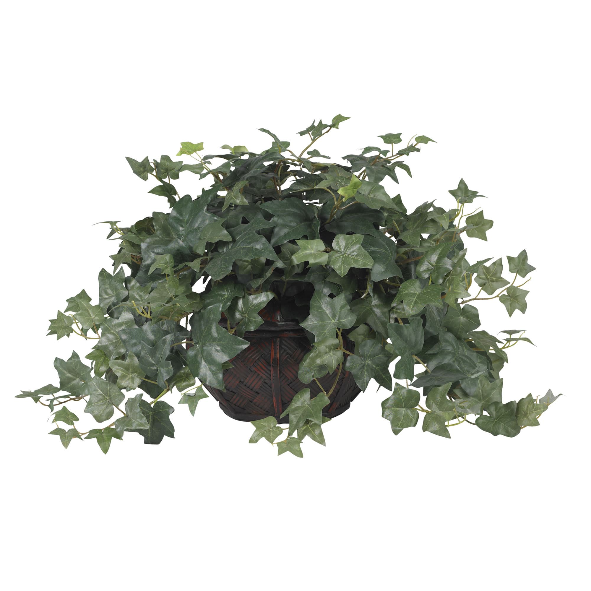 18&#x22; Potted Puff Ivy