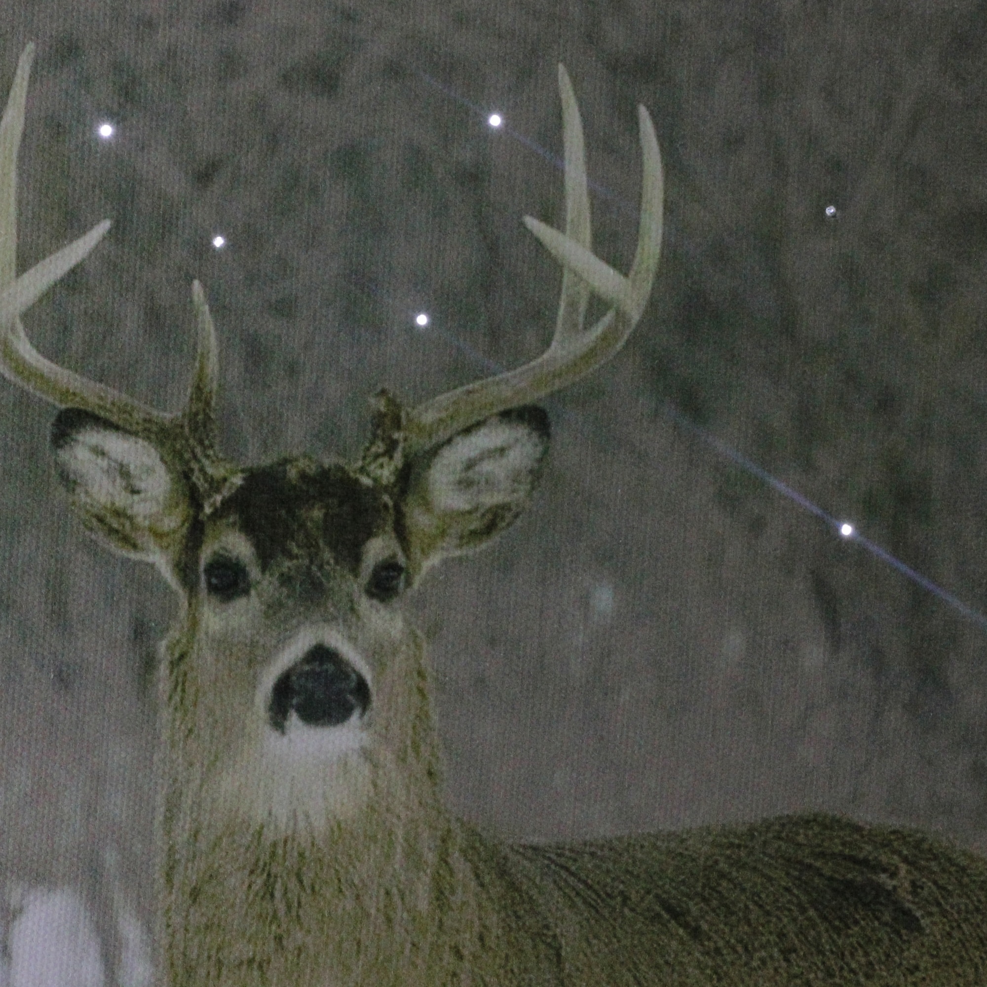 Fiber Optic Majestic Buck Canvas Wall Art