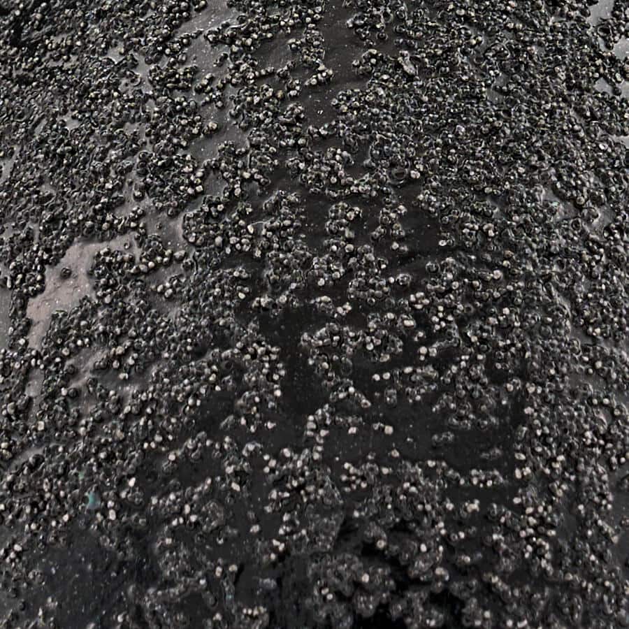 FolkArt&#xAE; Sugar Metallic&#x2122; Acrylic Paint