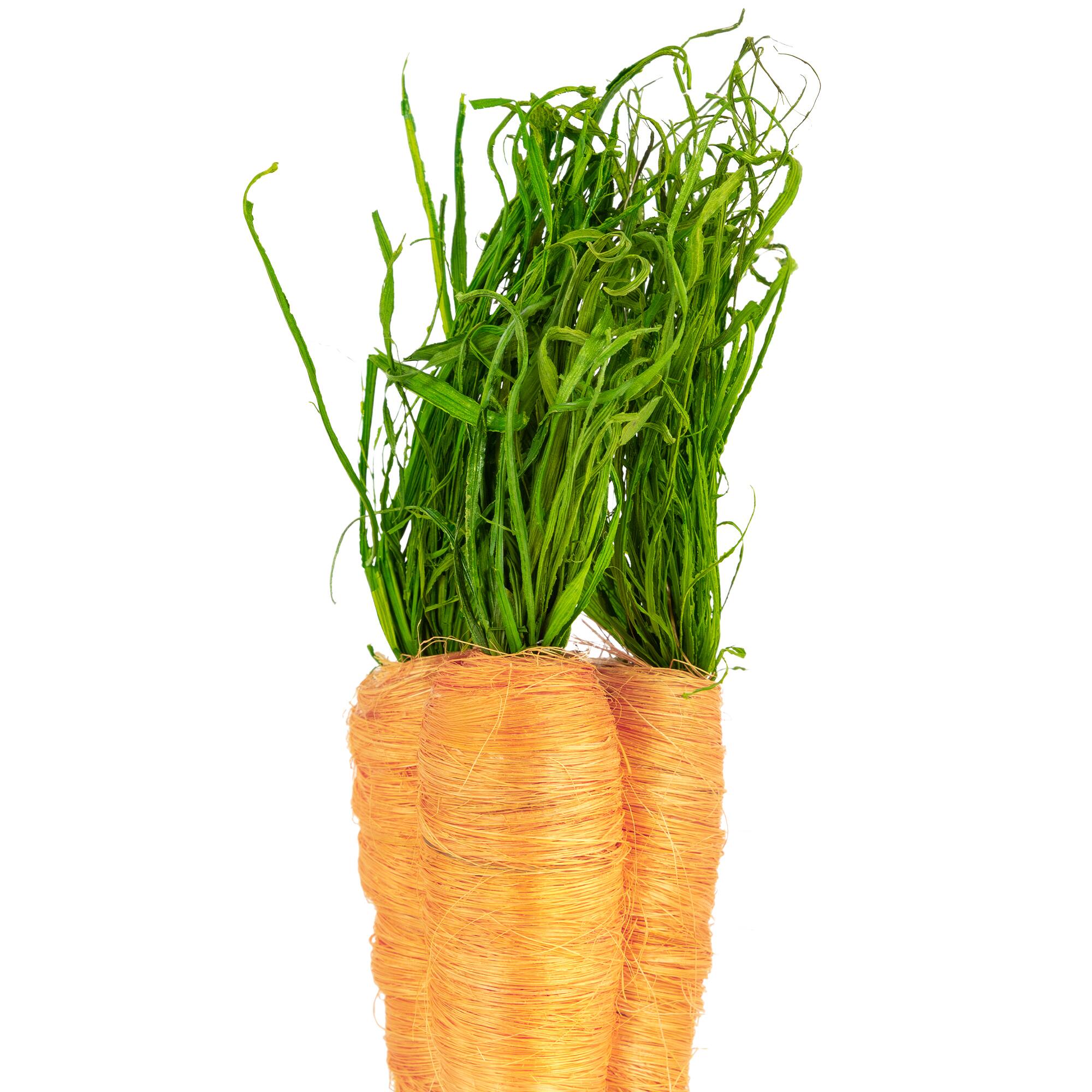 9&#x22; Orange Straw Carrot Easter Decorations Set
