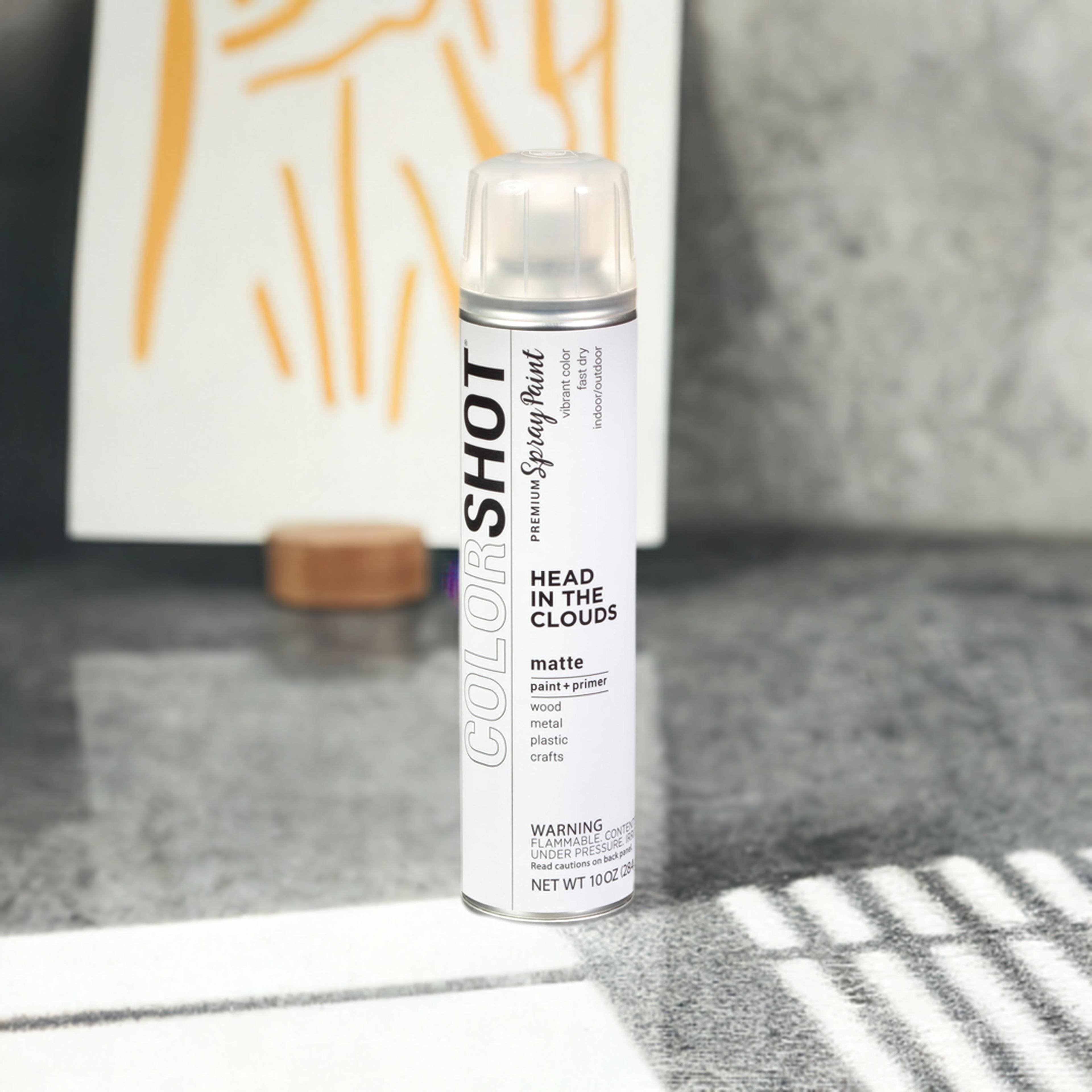 COLORSHOT® Head In the Clouds Matte Spray Paint