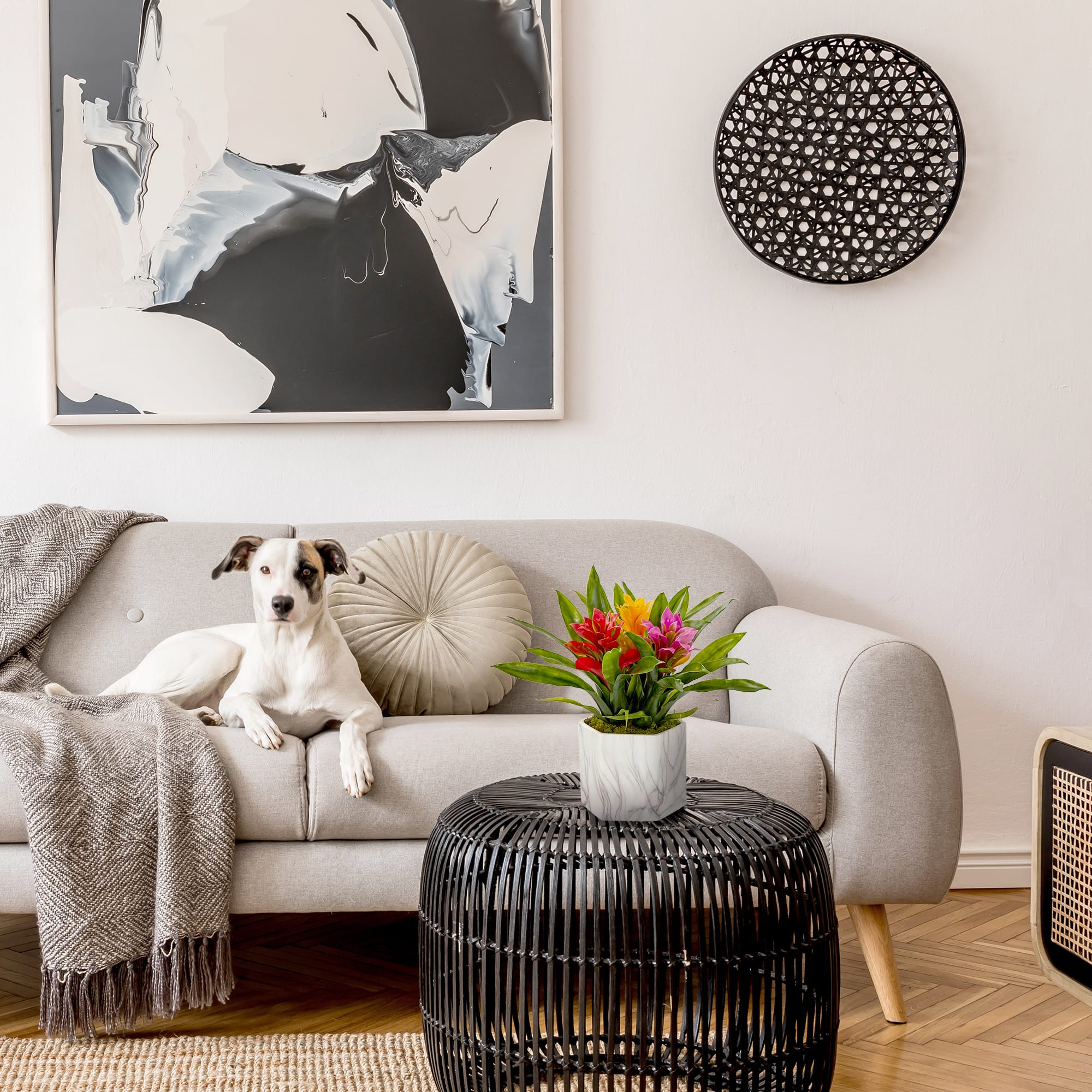 11'' Bromeliad Plant in Marble Finished Vase