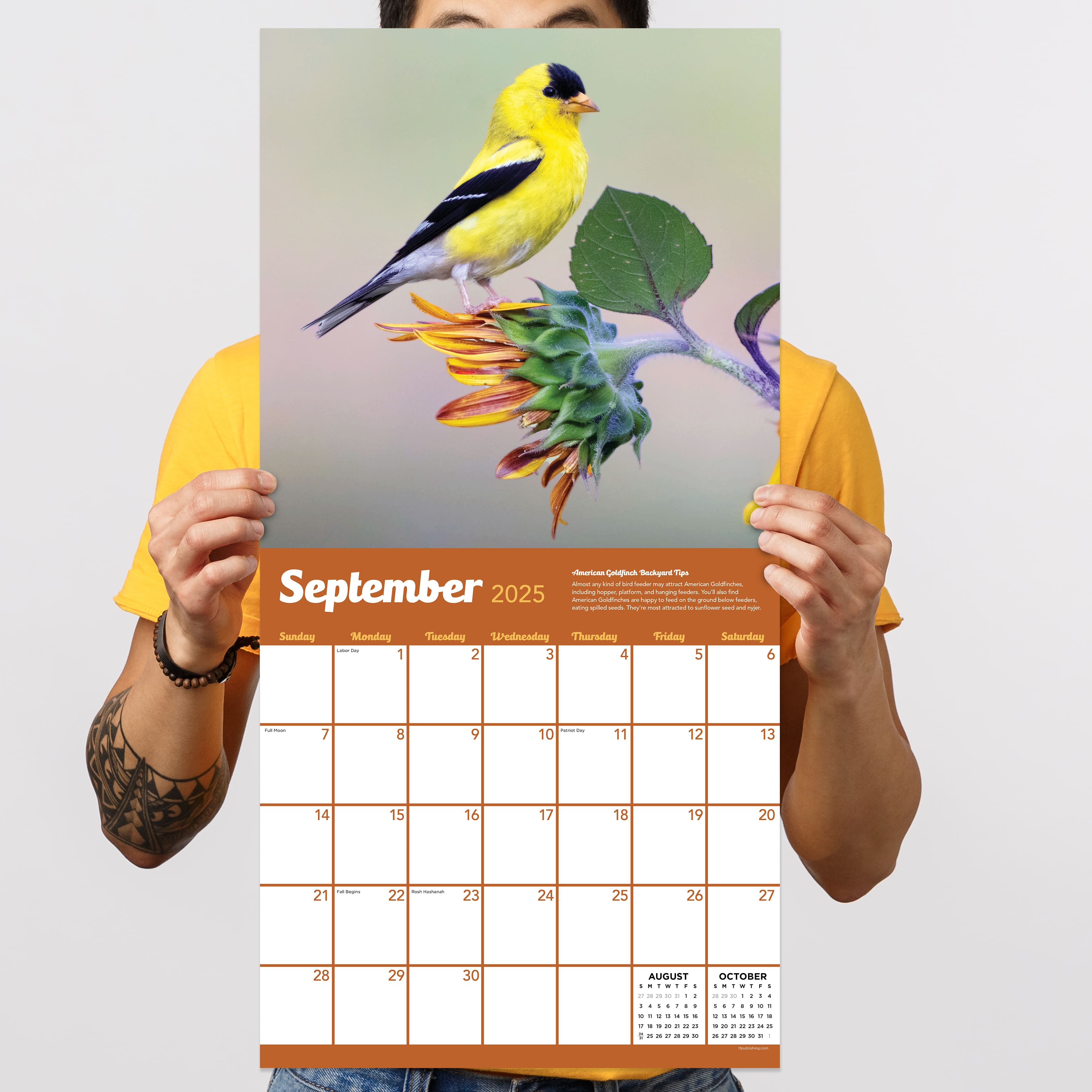 TF Publishing 2025 Backyard Birds Wall Calendar
