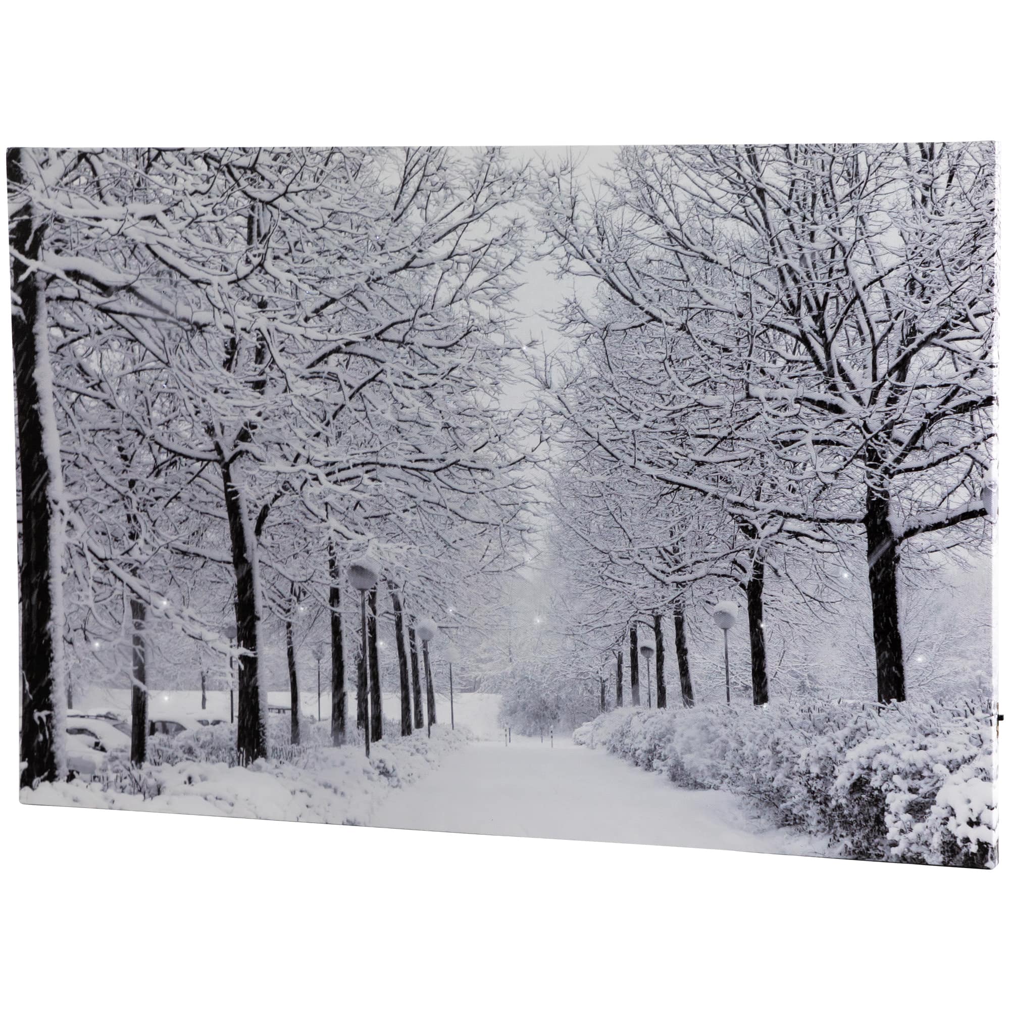 Fiber Optic Lighted Snowfall Winter Lane Christmas Canvas Wall Art