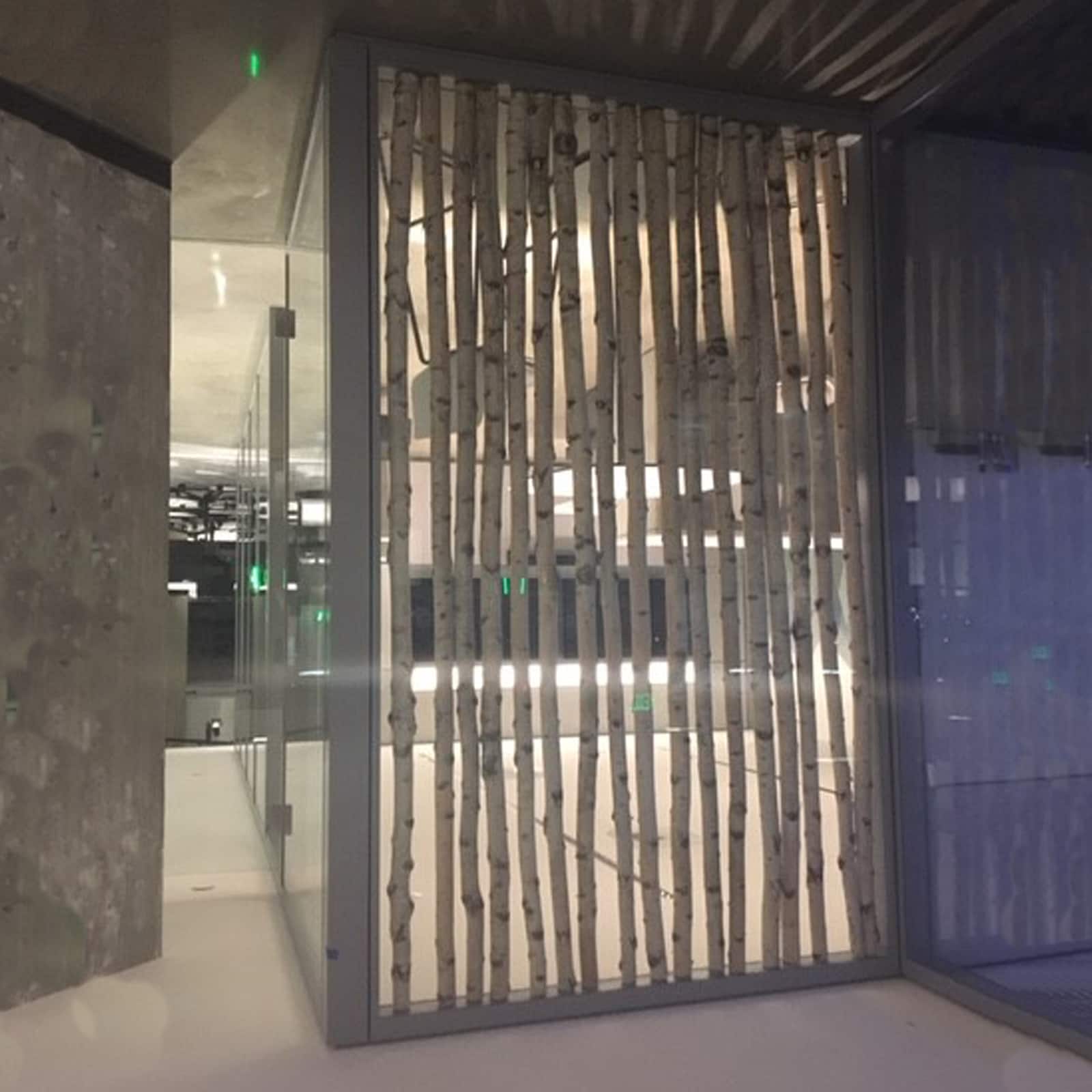 Wilson&#xAE; Enterprises White Birch Poles