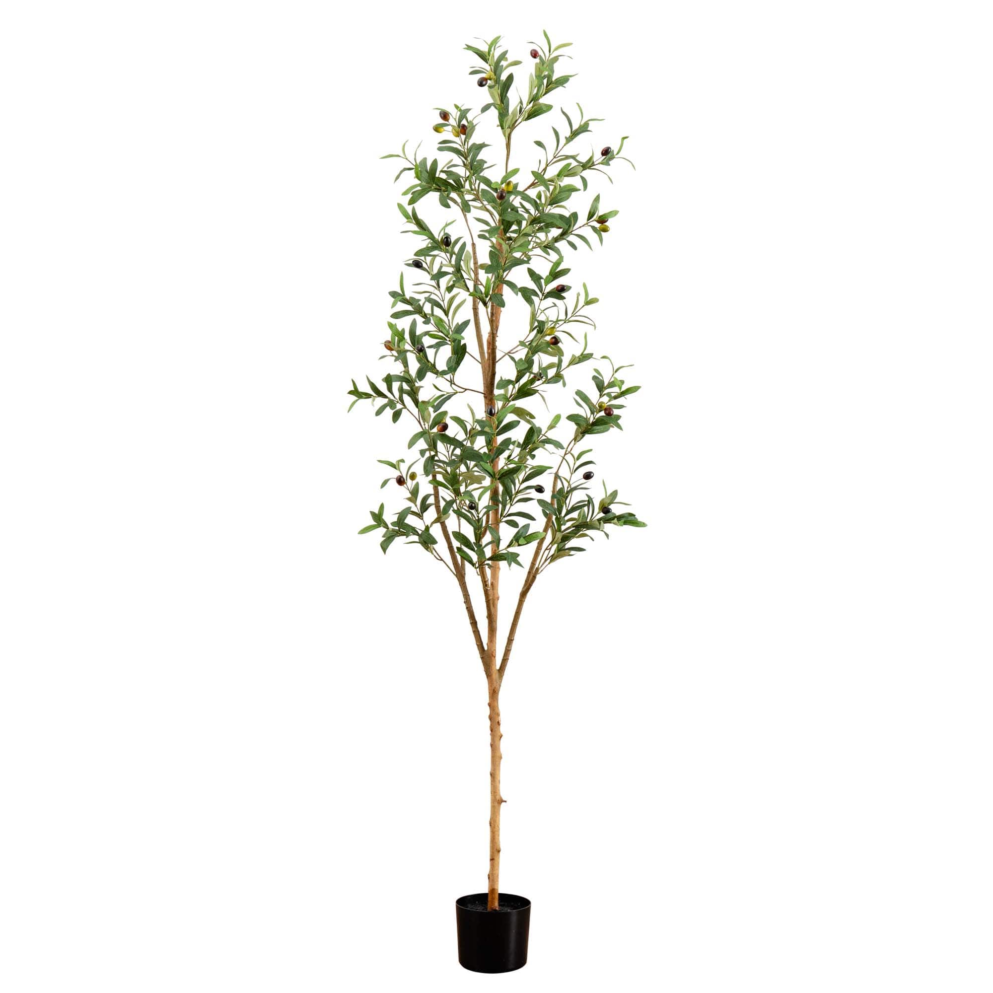 6ft. Potted Artificial Olive Tree with Natural Trunk