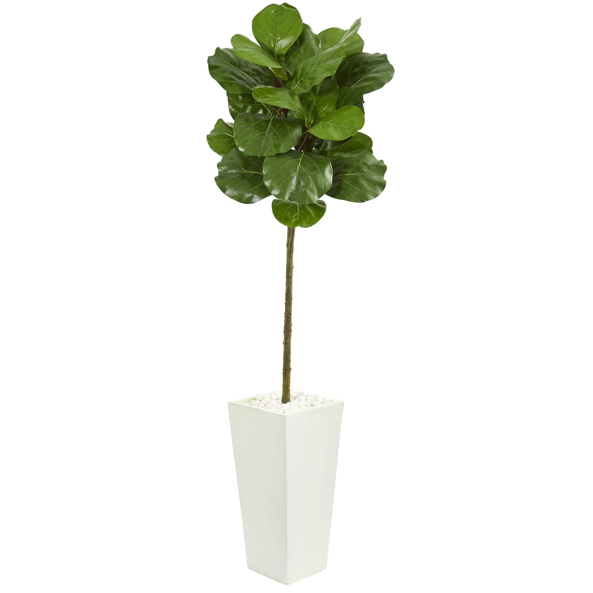 5.5ft. Fiddle Leaf Tree in White Tower Planter Michaels