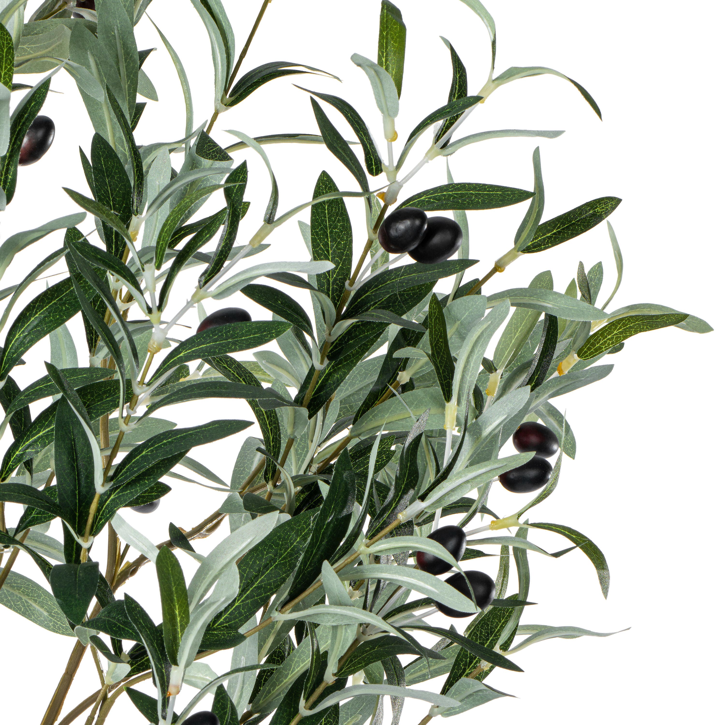 6ft. Potted Artificial Green Olive Tree
