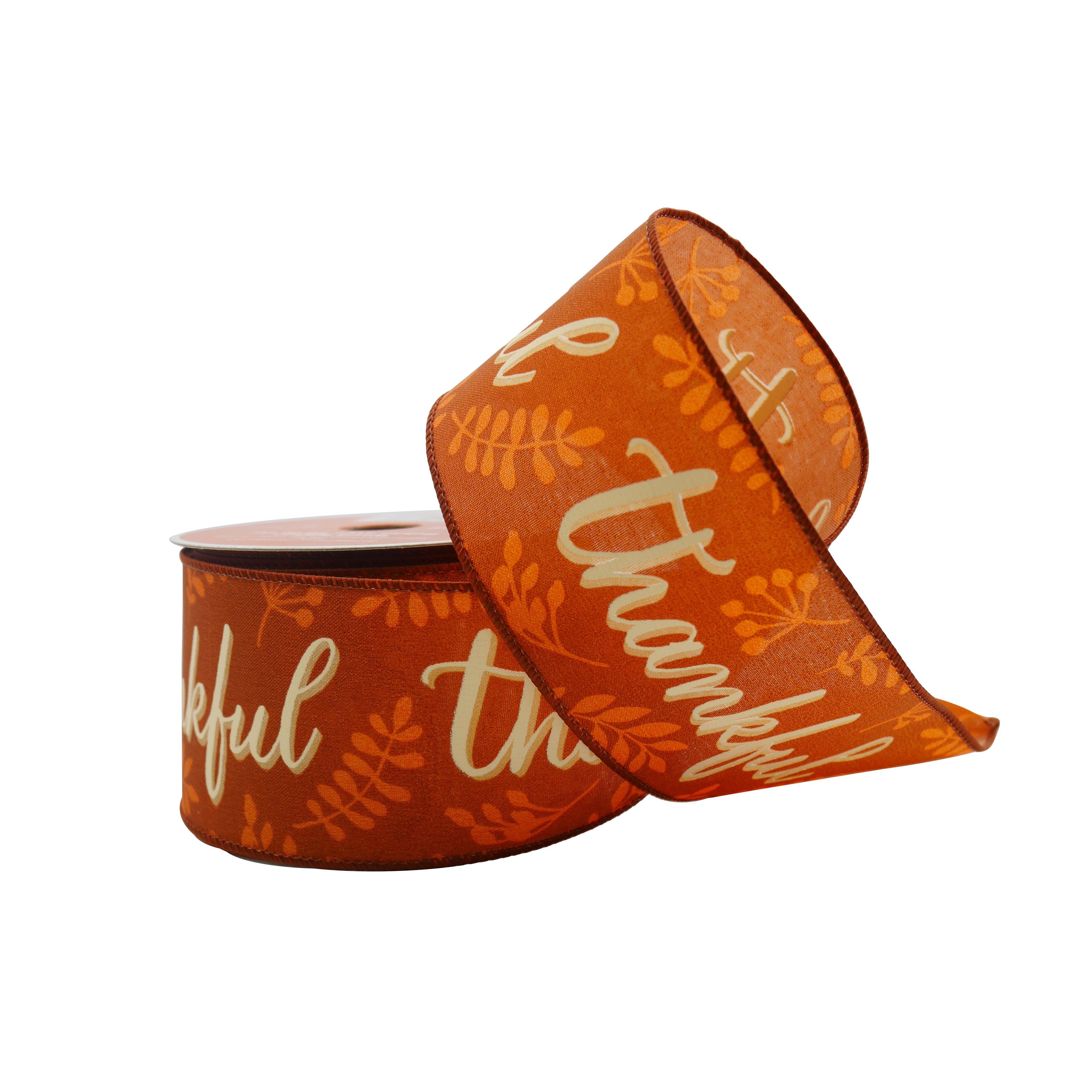 2.5&#x22; x 6.6yd. Orange Thankful Wired Ribbon by Celebrate It&#xAE;