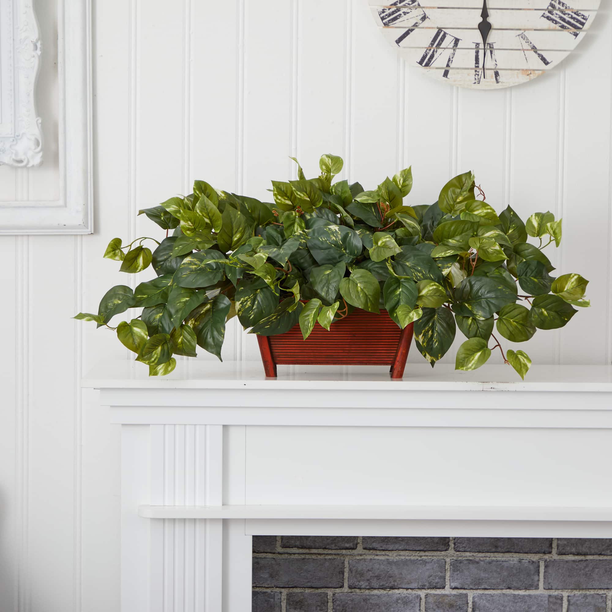 16" Pothos In Rectangle Decorative Planter