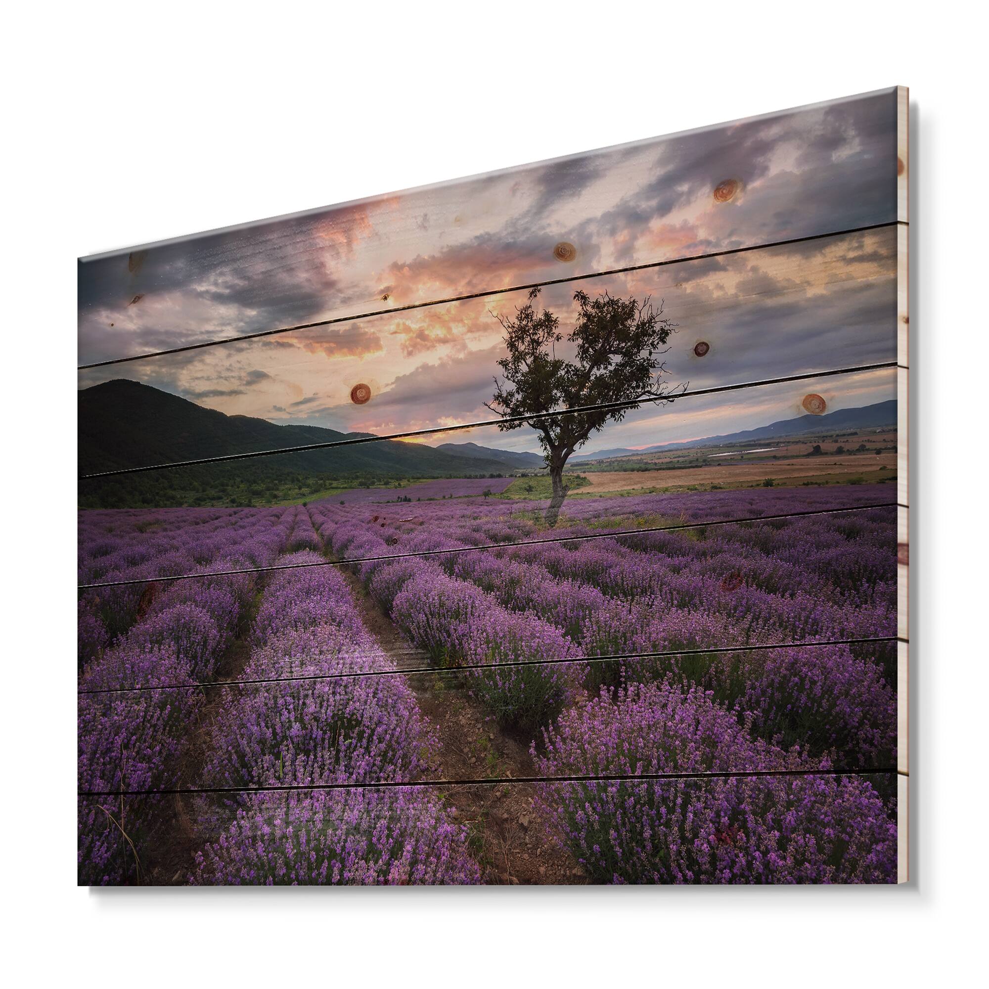 Designart - Lavender Field At Dawn III - Farmhouse Print on Natural Pine Wood