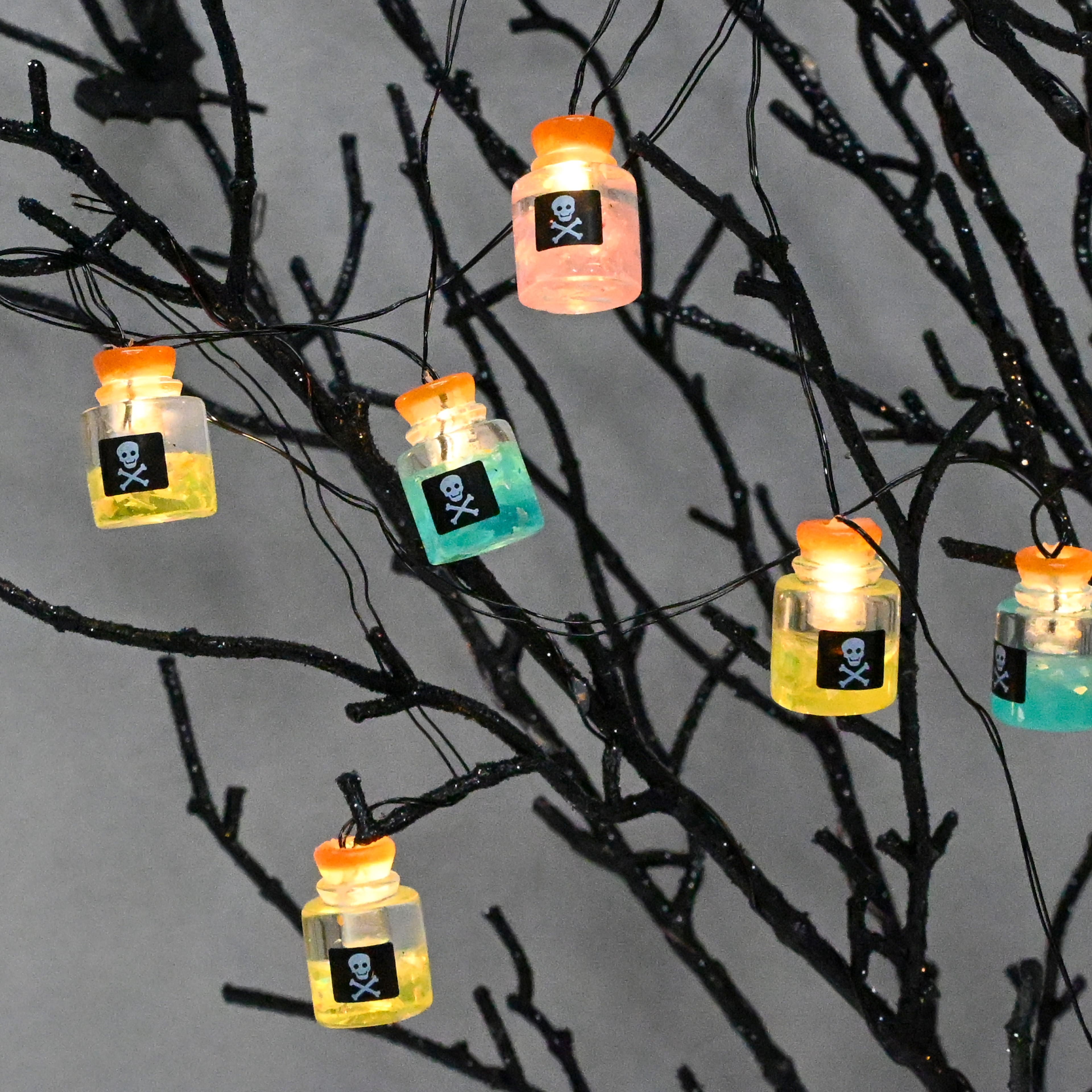 10ct. Warm White LED Poison Jar Icon String Lights by Ashland®