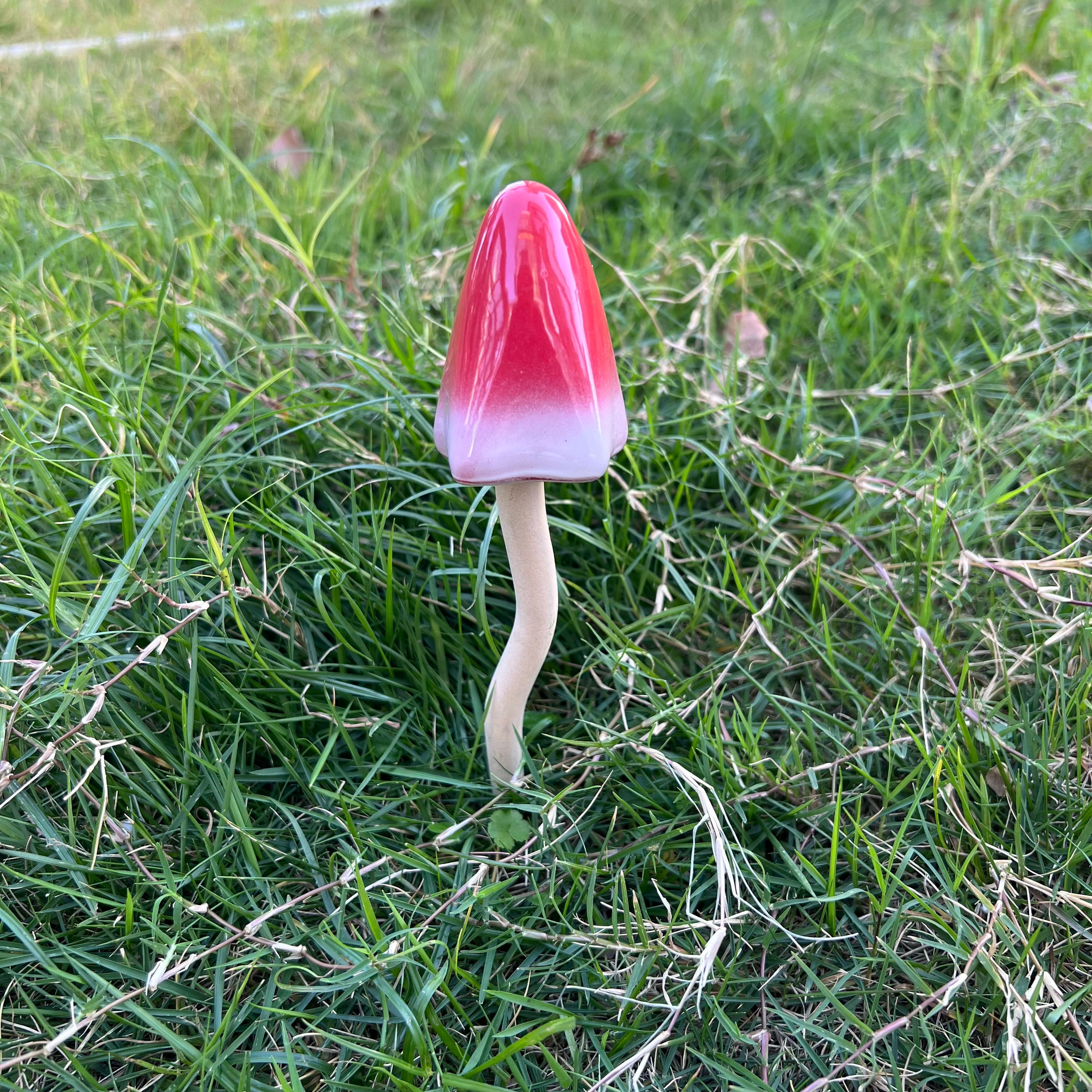 Red Cap Shaking Decorative Mushroom by Ashland&#xAE;