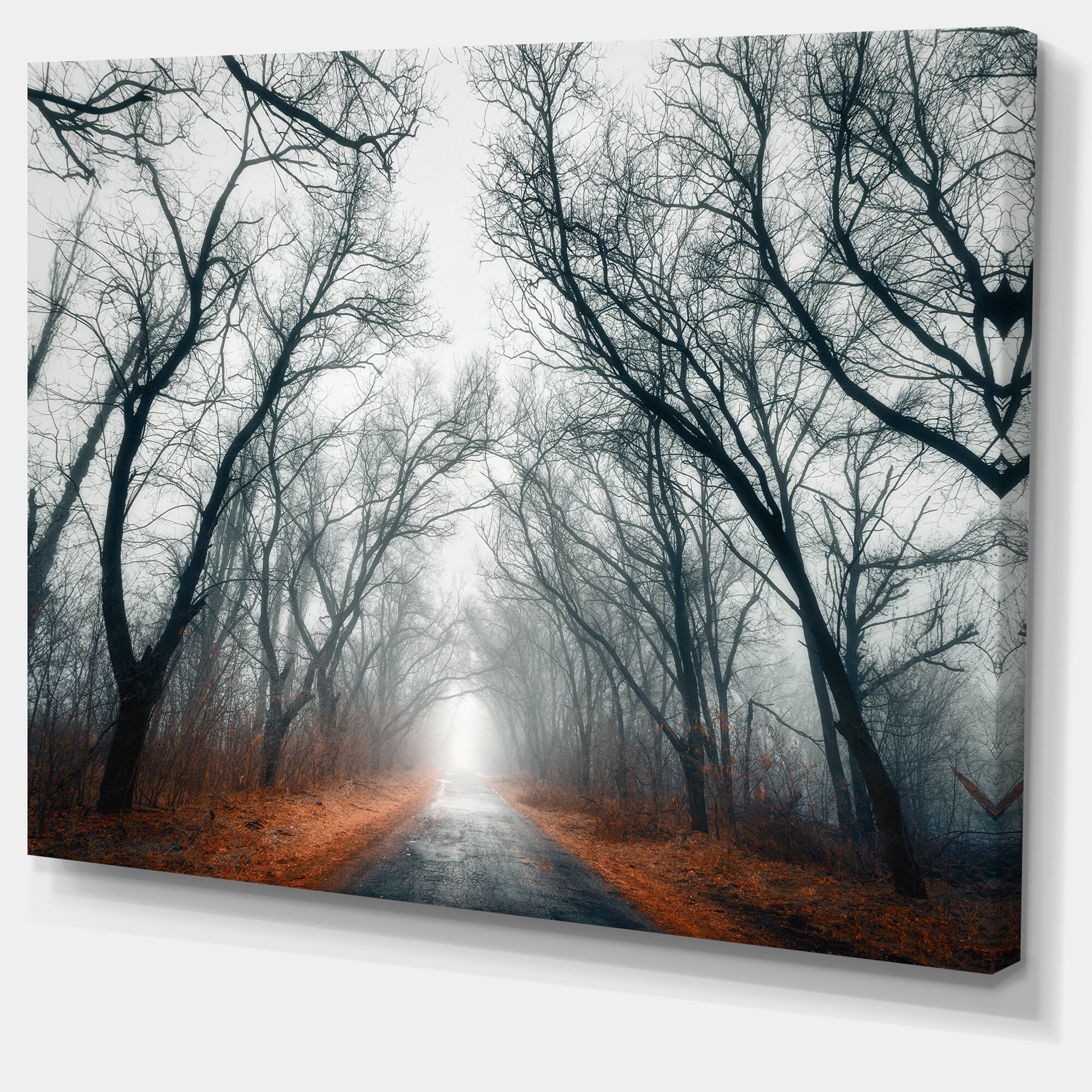Designart - Mystic Road in Forest - Landscape Photography Canvas Print