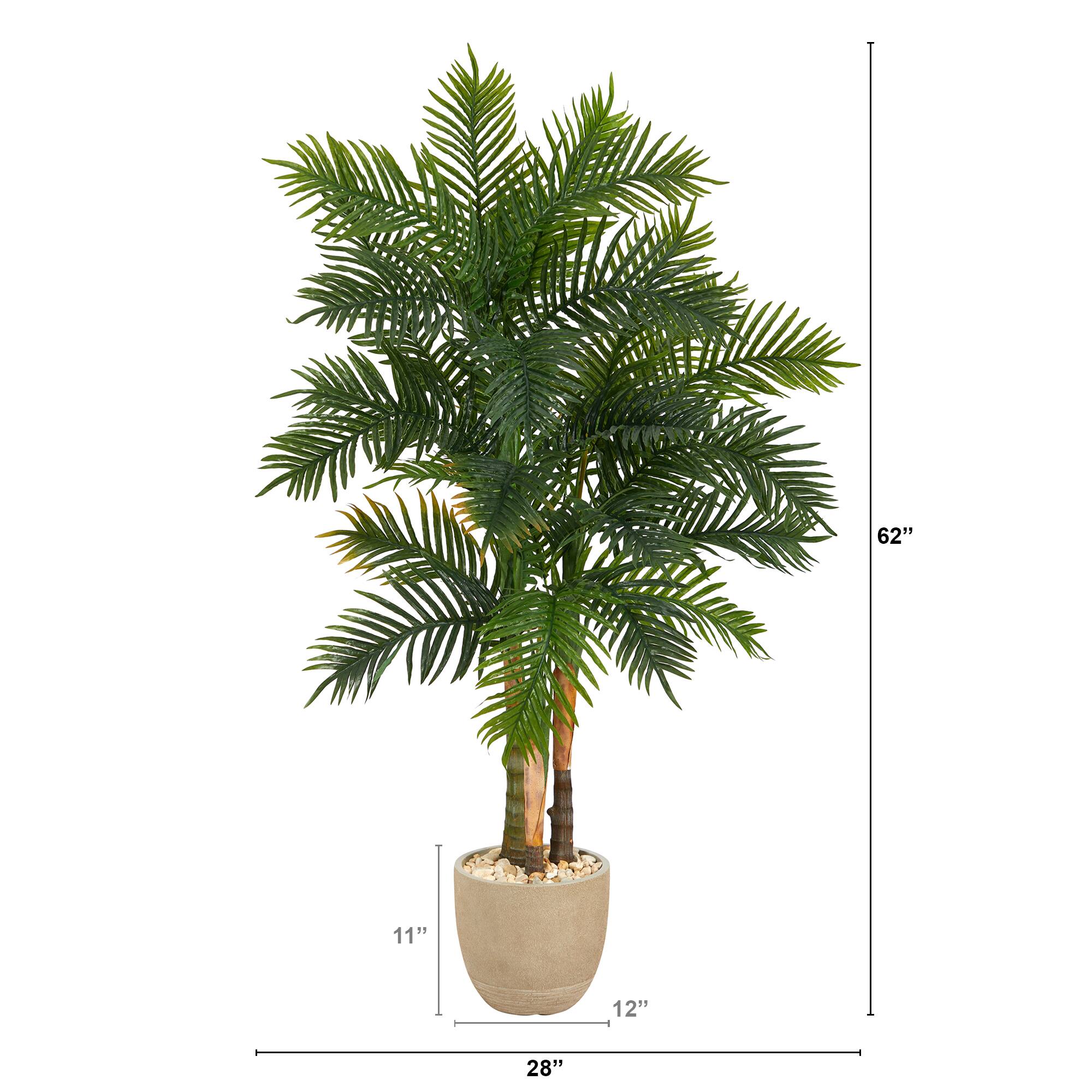 5ft. Areca Palm Tree in Sandstone Planter