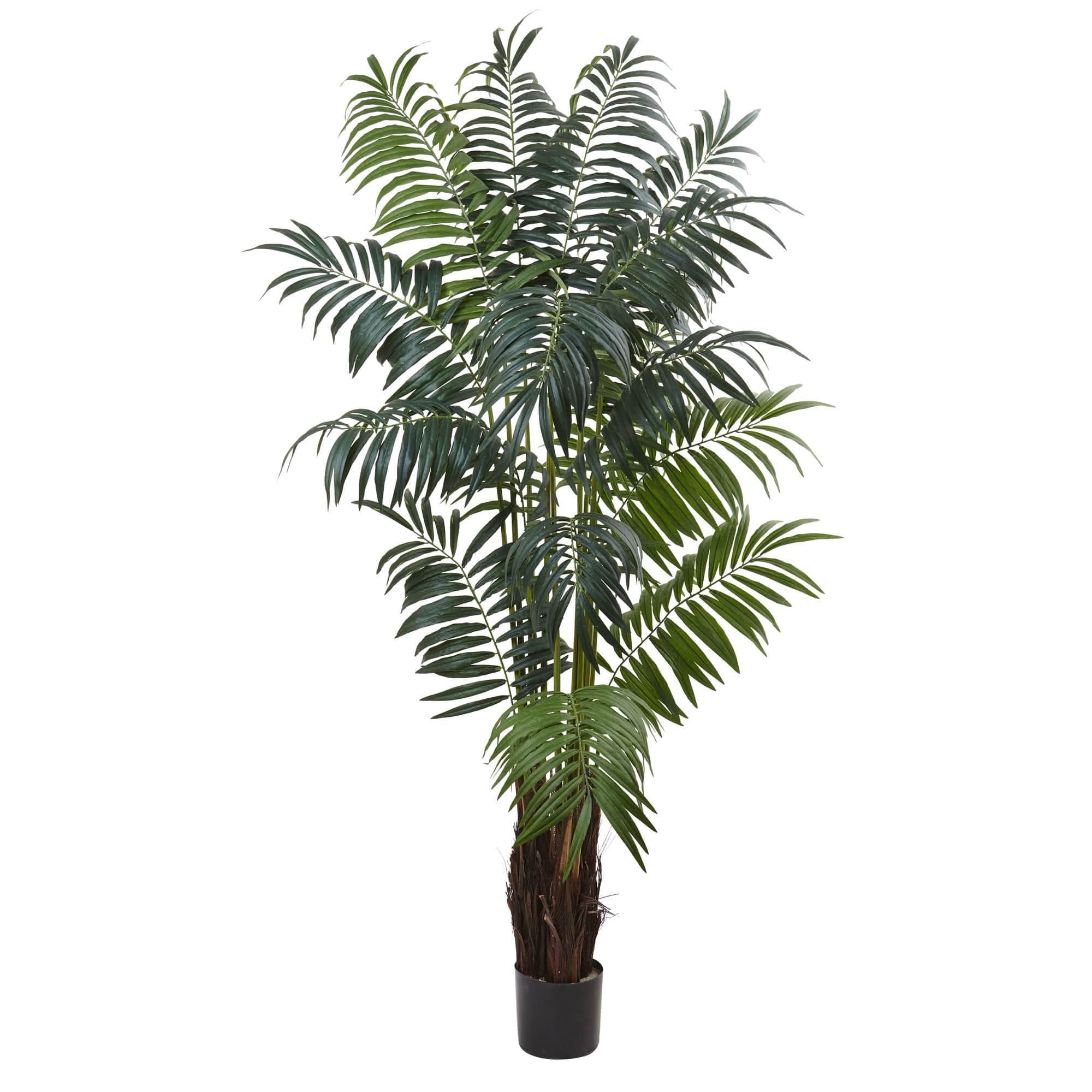 7 5ft Bulb Areca Palm Tree Michaels