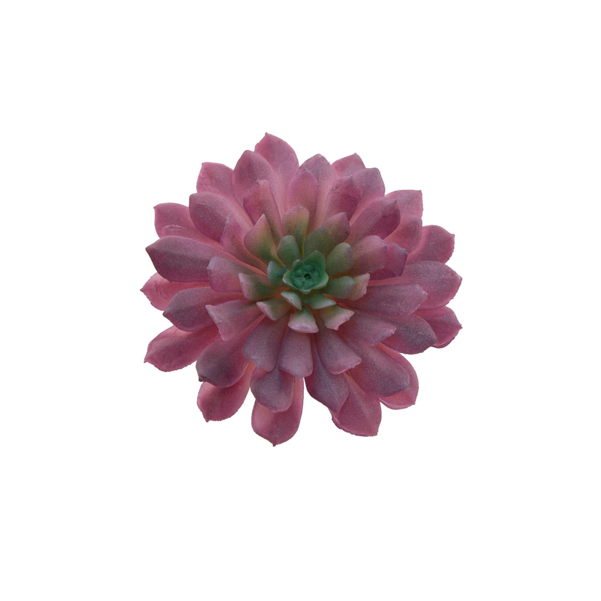 Flora Bunda&#xAE; Red Succulent Pick, 6ct.