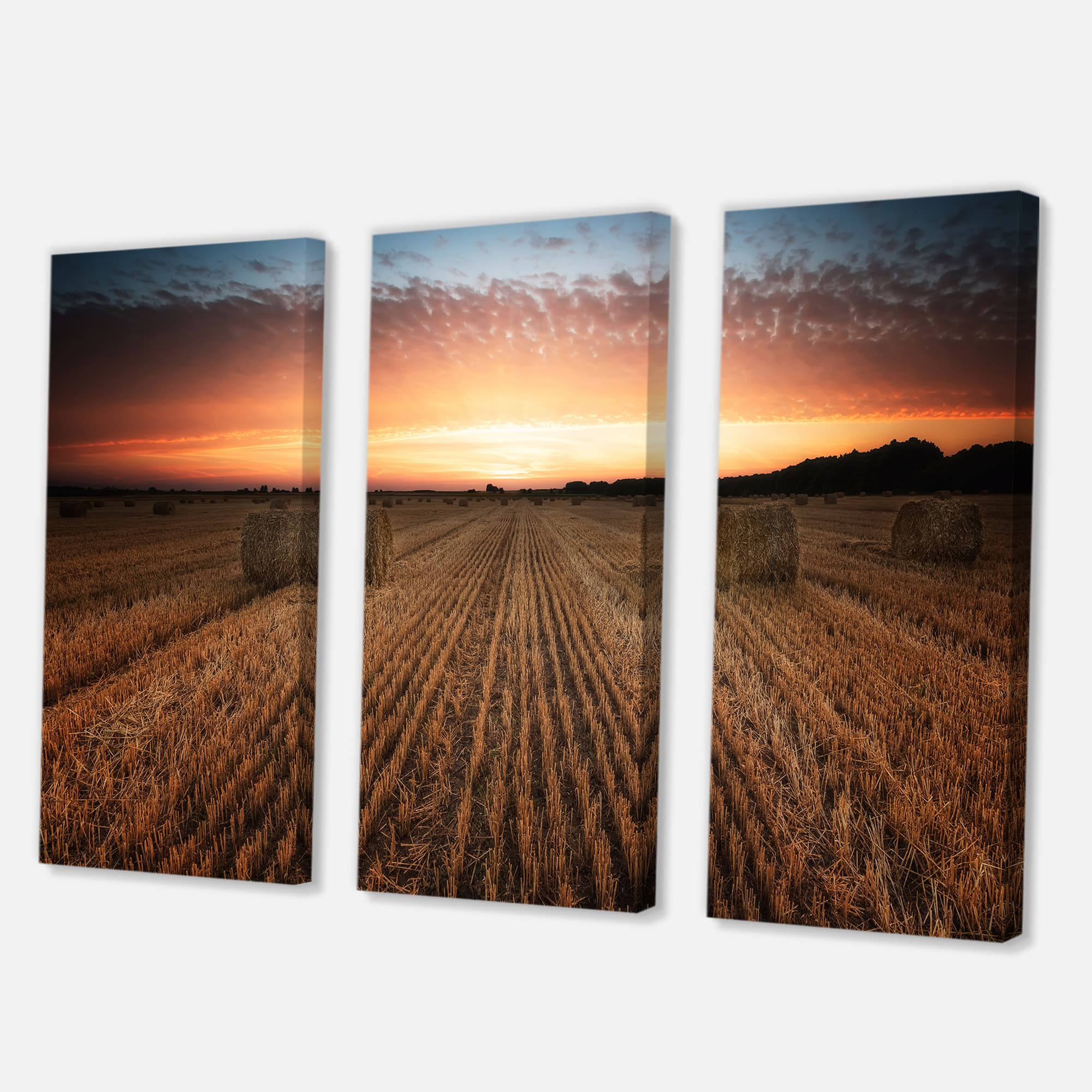 Designart - Landscape With A Field Full of Hay Bales At Sunset - Farmhouse Canvas Wall Art Print