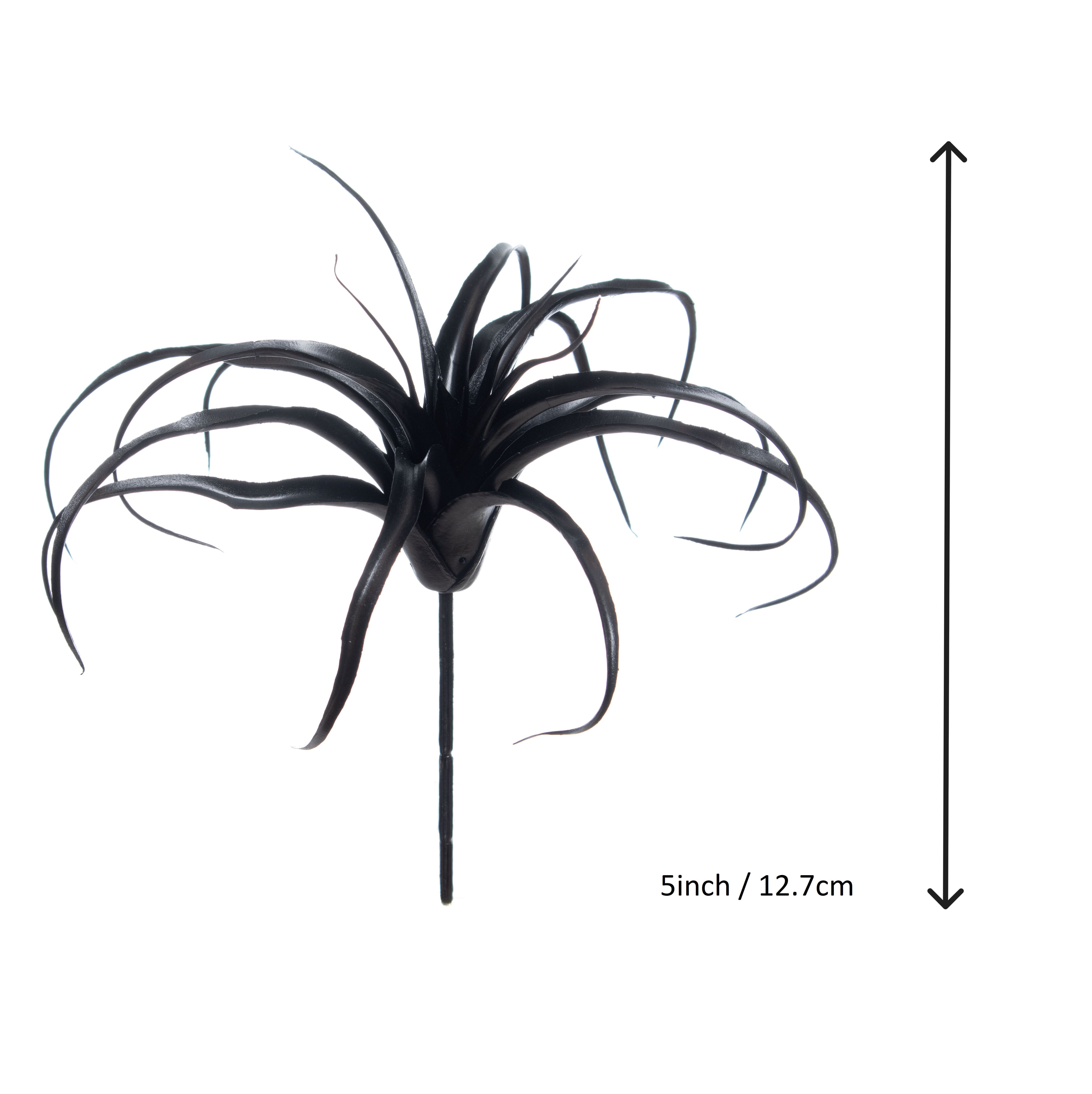 10" Black Tillandsia Pick by Ashland®