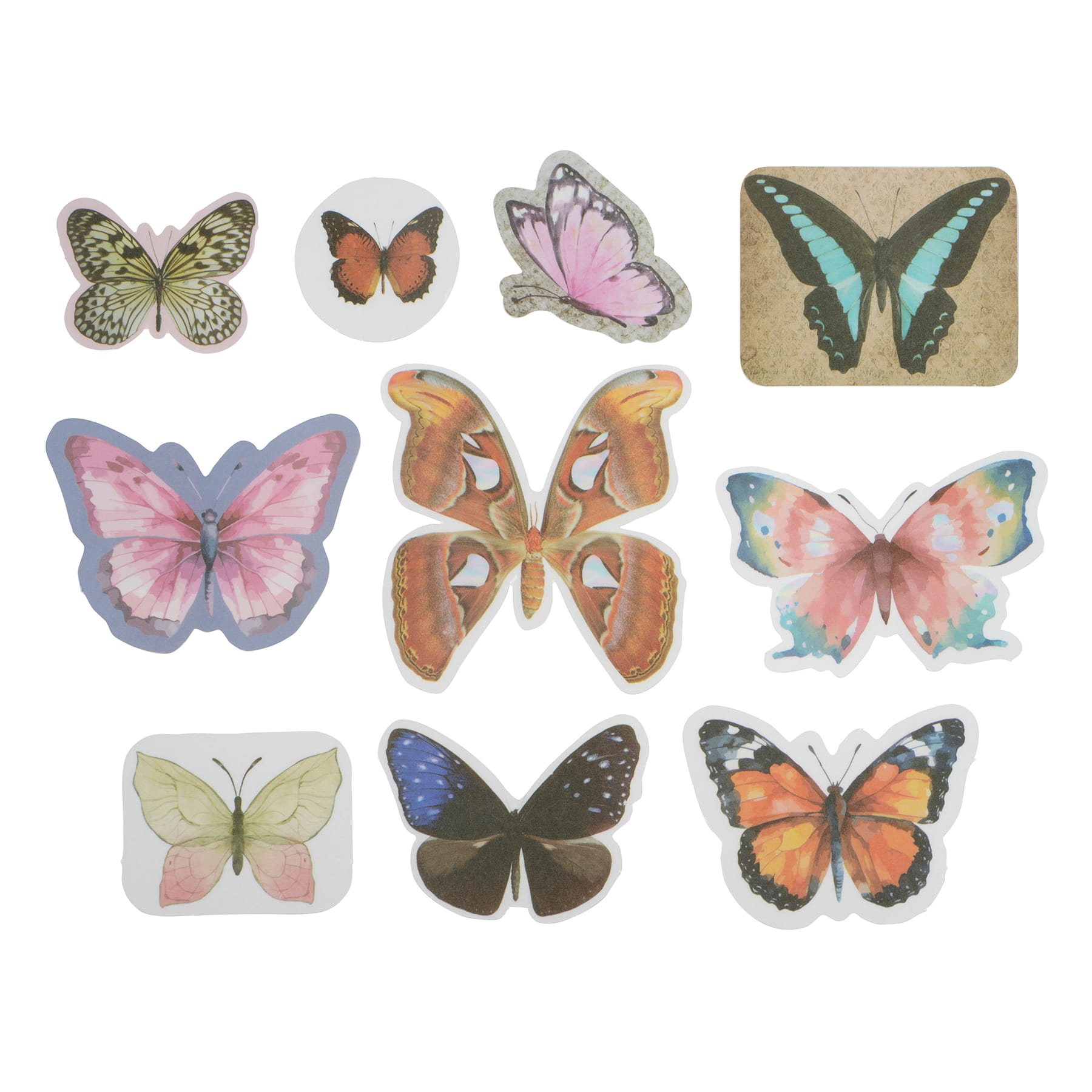Butterfly Vellum Ephemera by Recollections&#x2122;