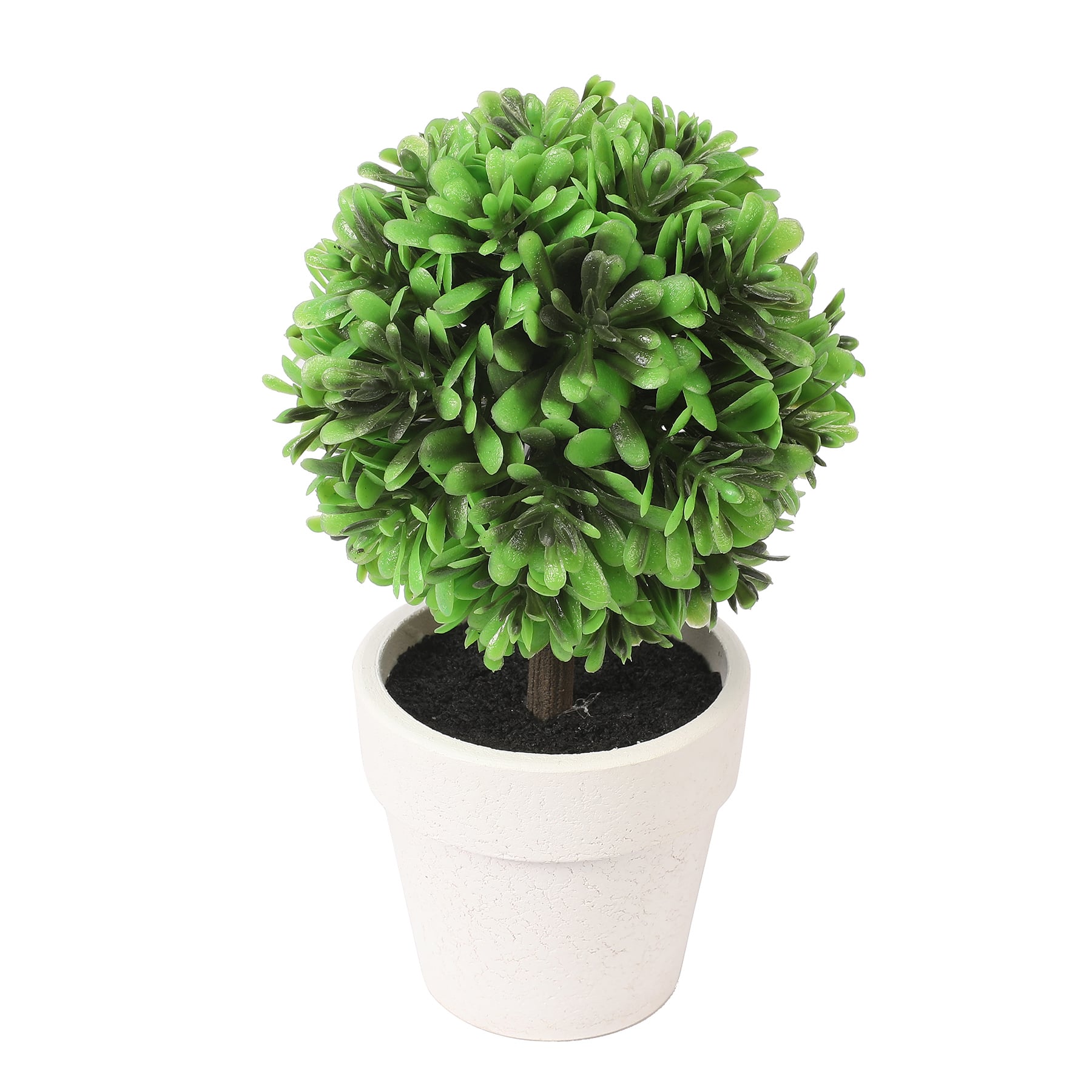 6.75&#x22; Premade Green Boxwood Ball Topiaries in Plastic Pots, 3ct. by Ashland&#xAE;