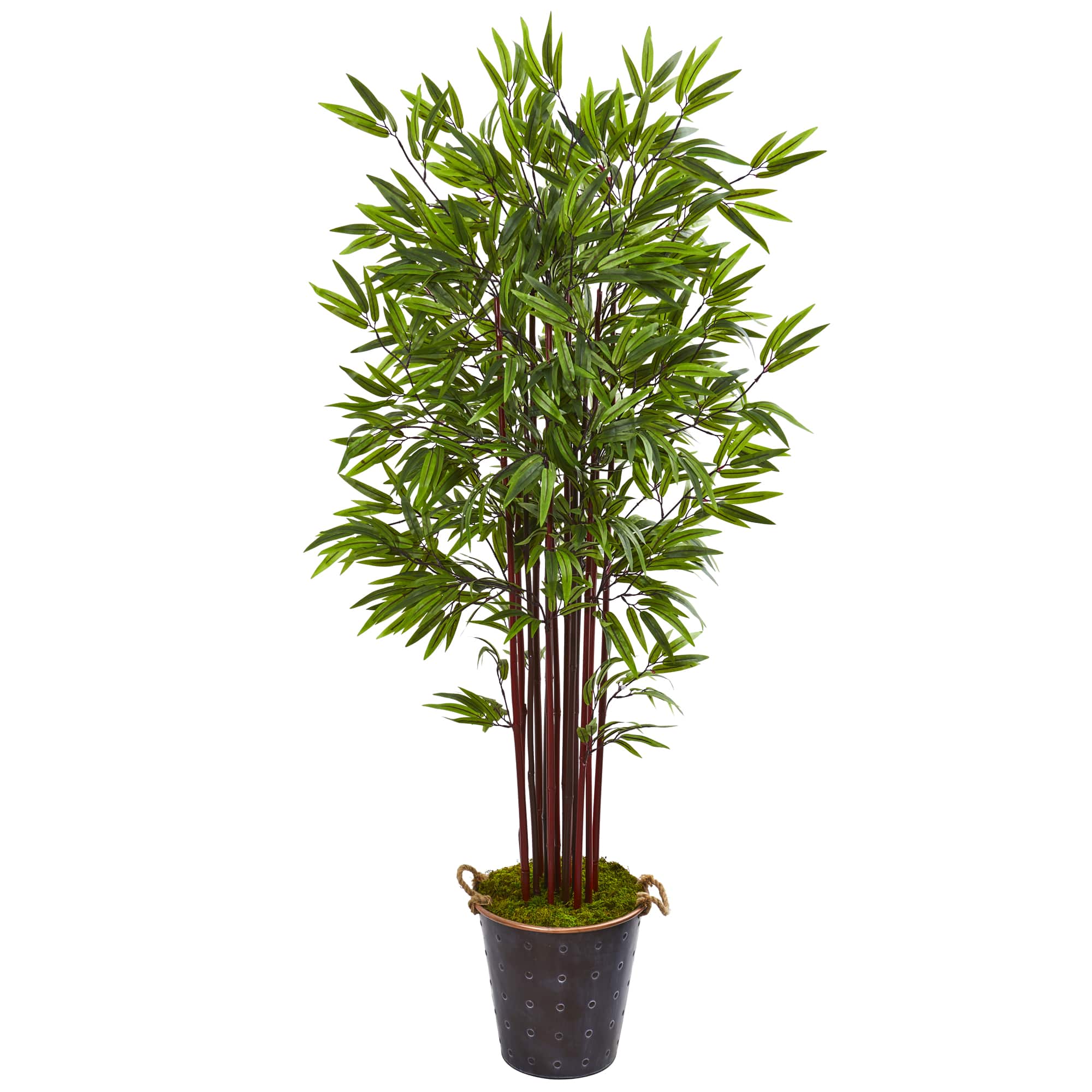 6ft. Bamboo Tree in Metal Planter