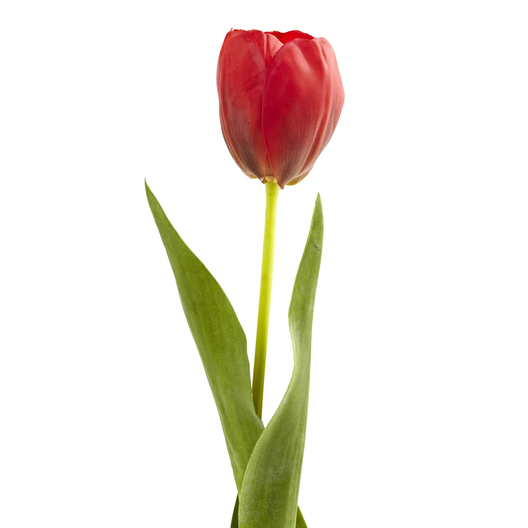 Red Tulip Stems, 8ct. | Michaels