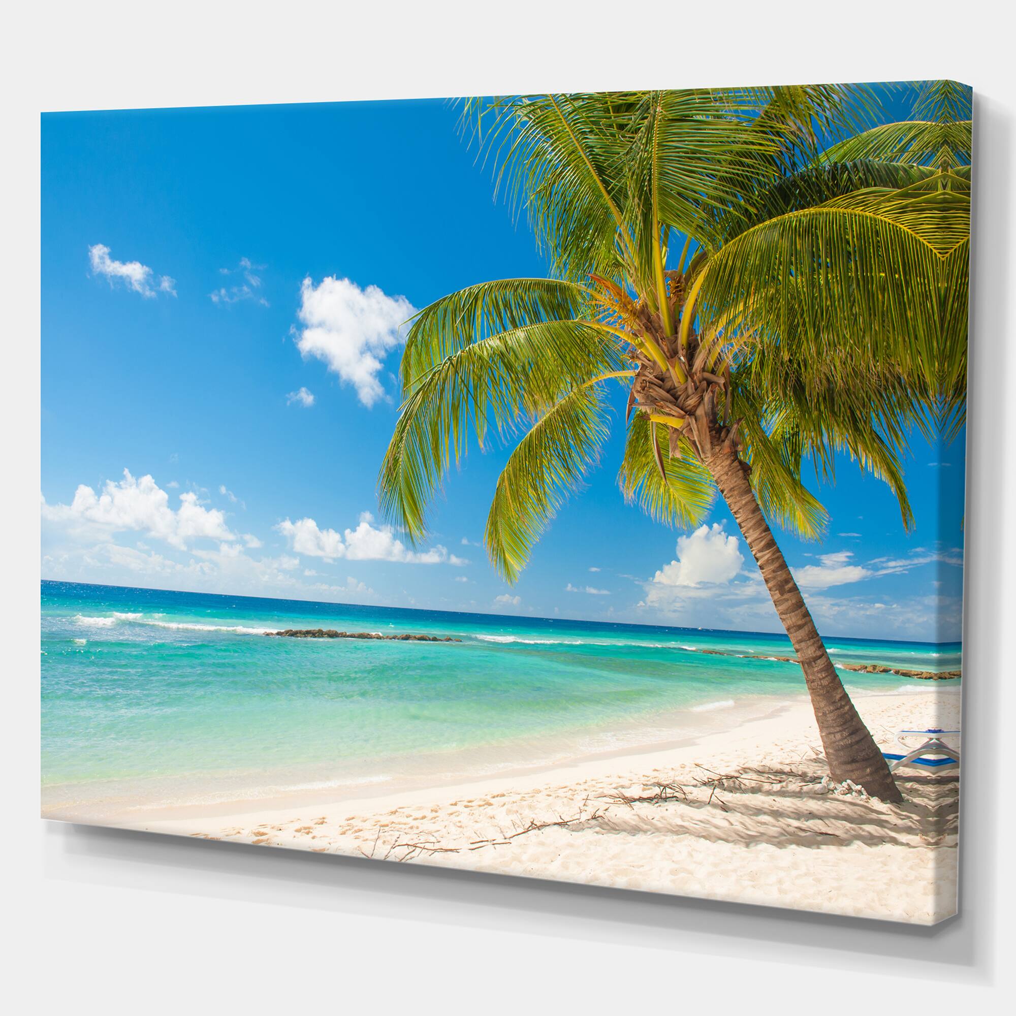 Designart - Palm tree over white sand - Landscapes Sea & Shore Photographic on wrapped Canvas