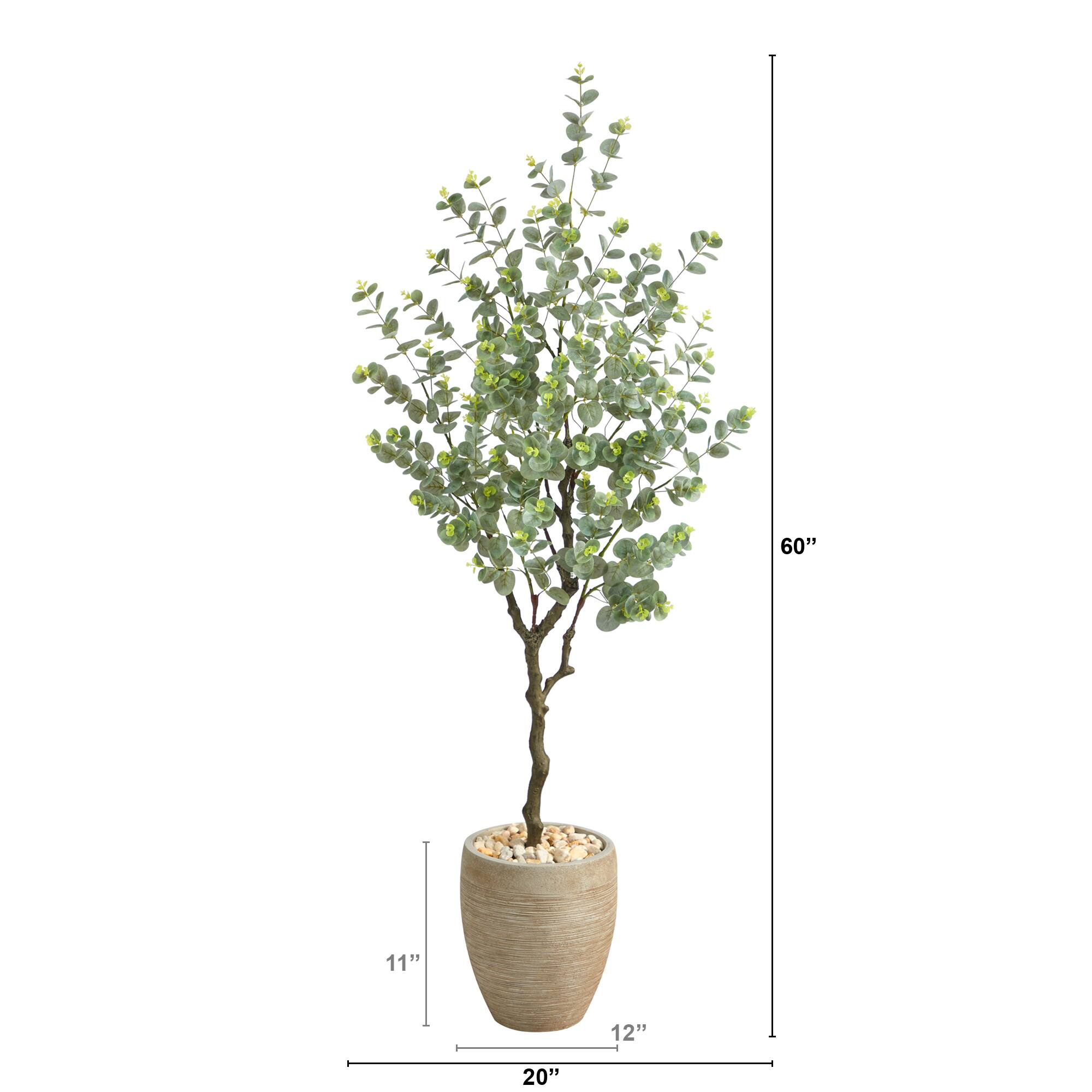 5ft. Eucalyptus Artificial Tree in Sandstone Planter