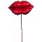 24" Velvet Lips Stem by Ashland®