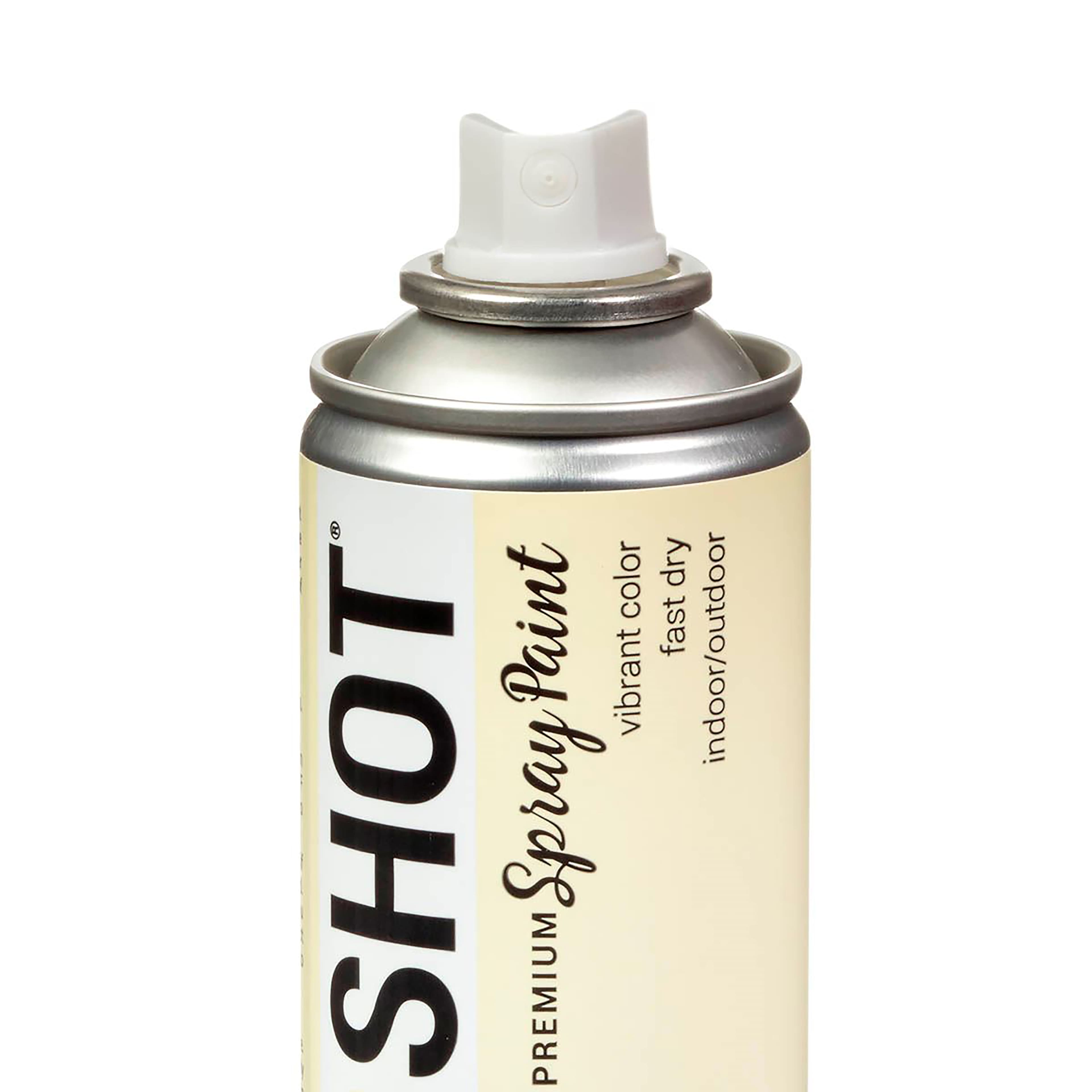COLORSHOT&#xAE; Premium Gloss Spray Paint
