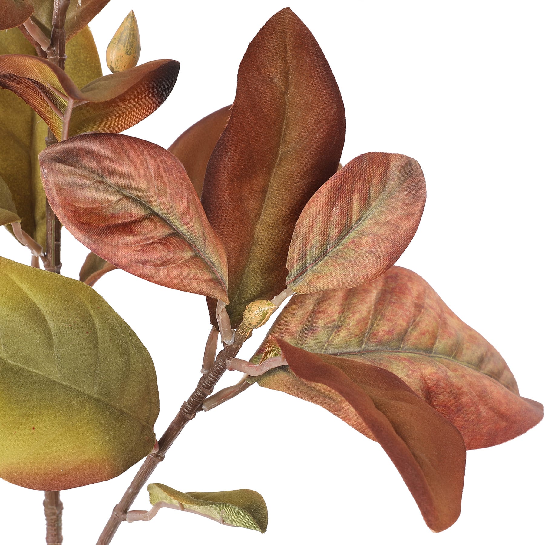 37&#x22; Brown Magnolia Leaf Stem by Ashland&#xAE;