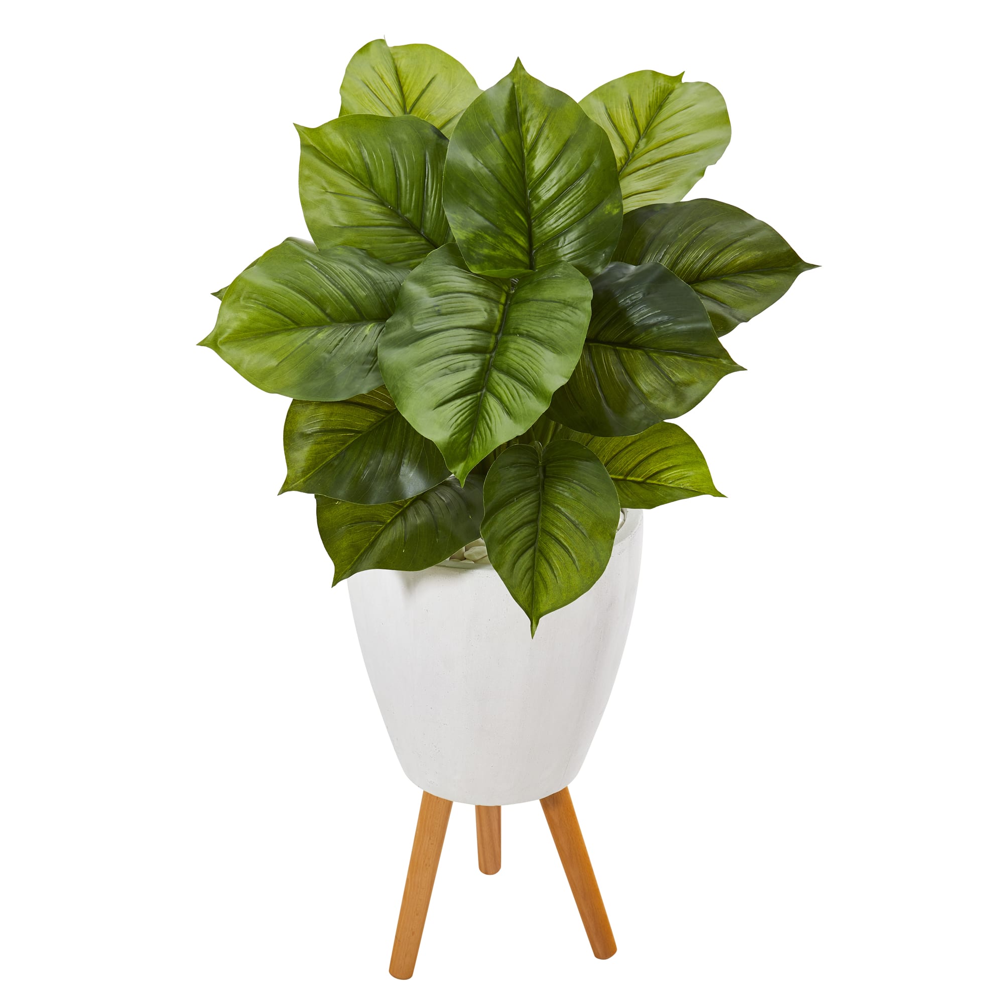 3ft. Philodendron Plant in White Planter with Stand