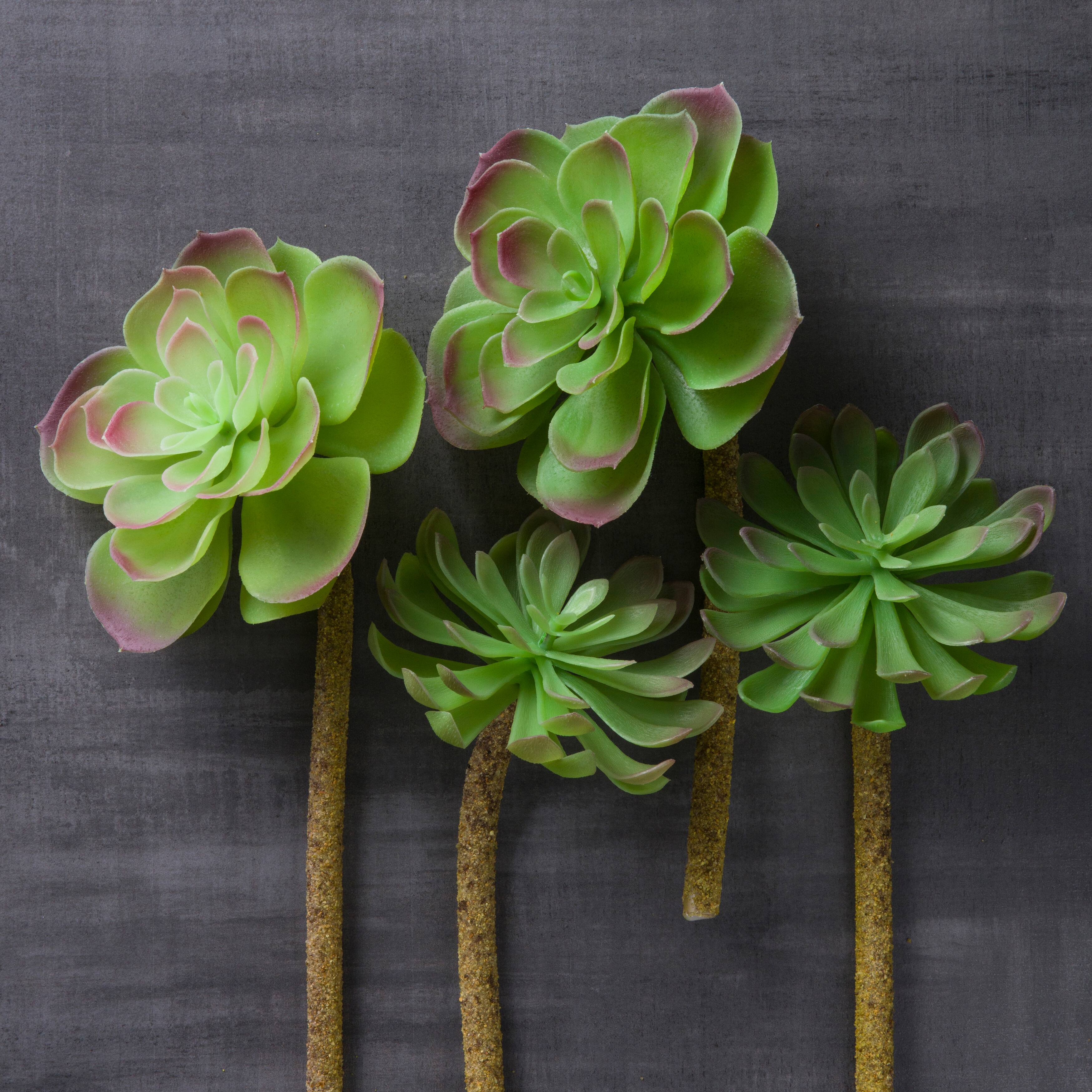 12 Pack: Assorted Red Tipped Succulent Pick by Ashland&#xAE;