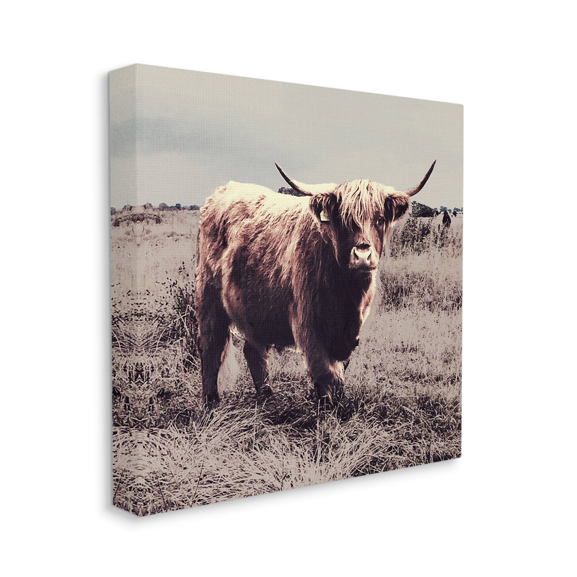 Stupell Industries Farm Cattle Rustic Vintage Styling Muted Tones Canvas Wall Art