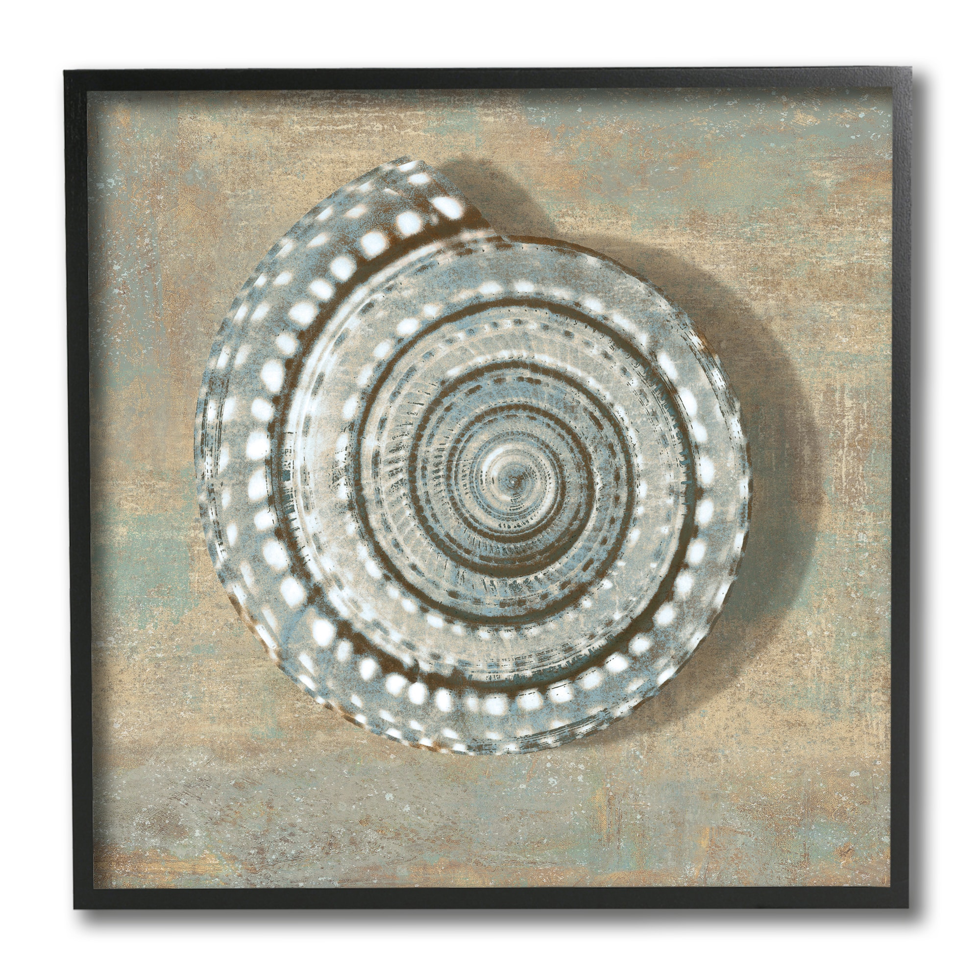 Stupell Industries Nautical Spiral Shell Vintage Coastal Muted Neutral, 12