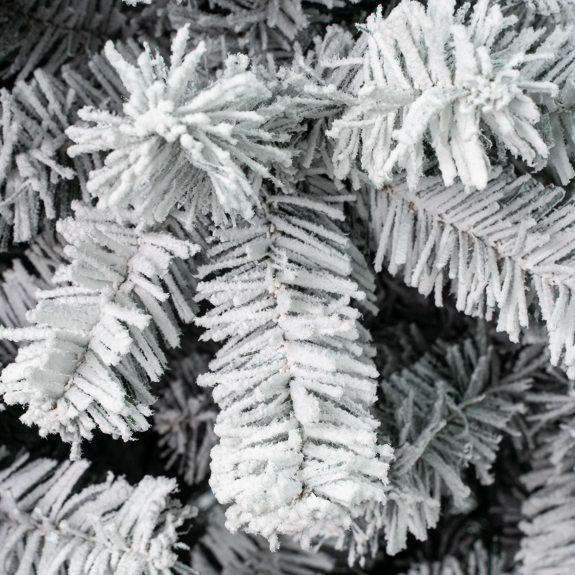7.5ft. Unlit Acacia Medium Flocked Artificial Christmas Tree
