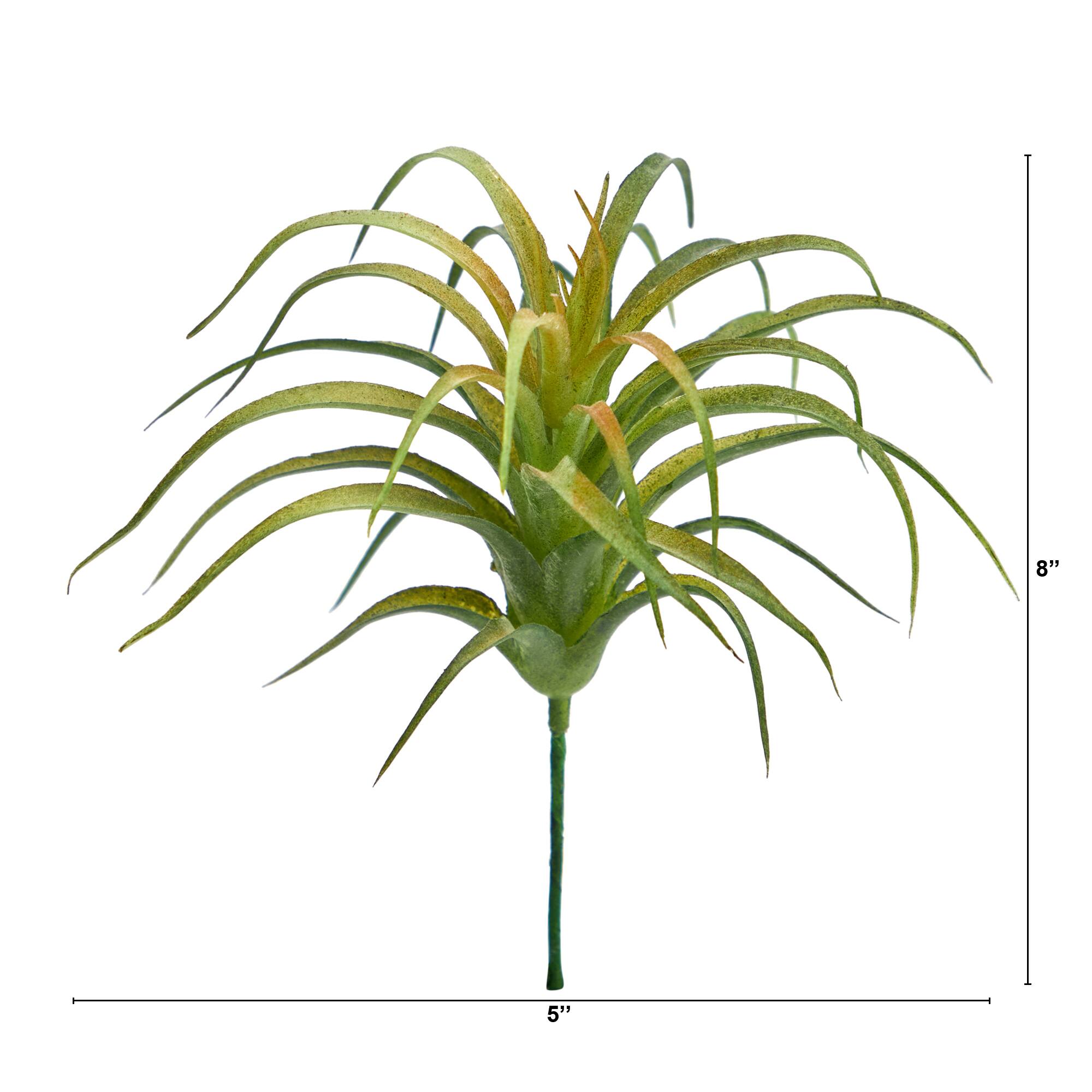 8" Tillandsia Artificial Flower (Set of 12)