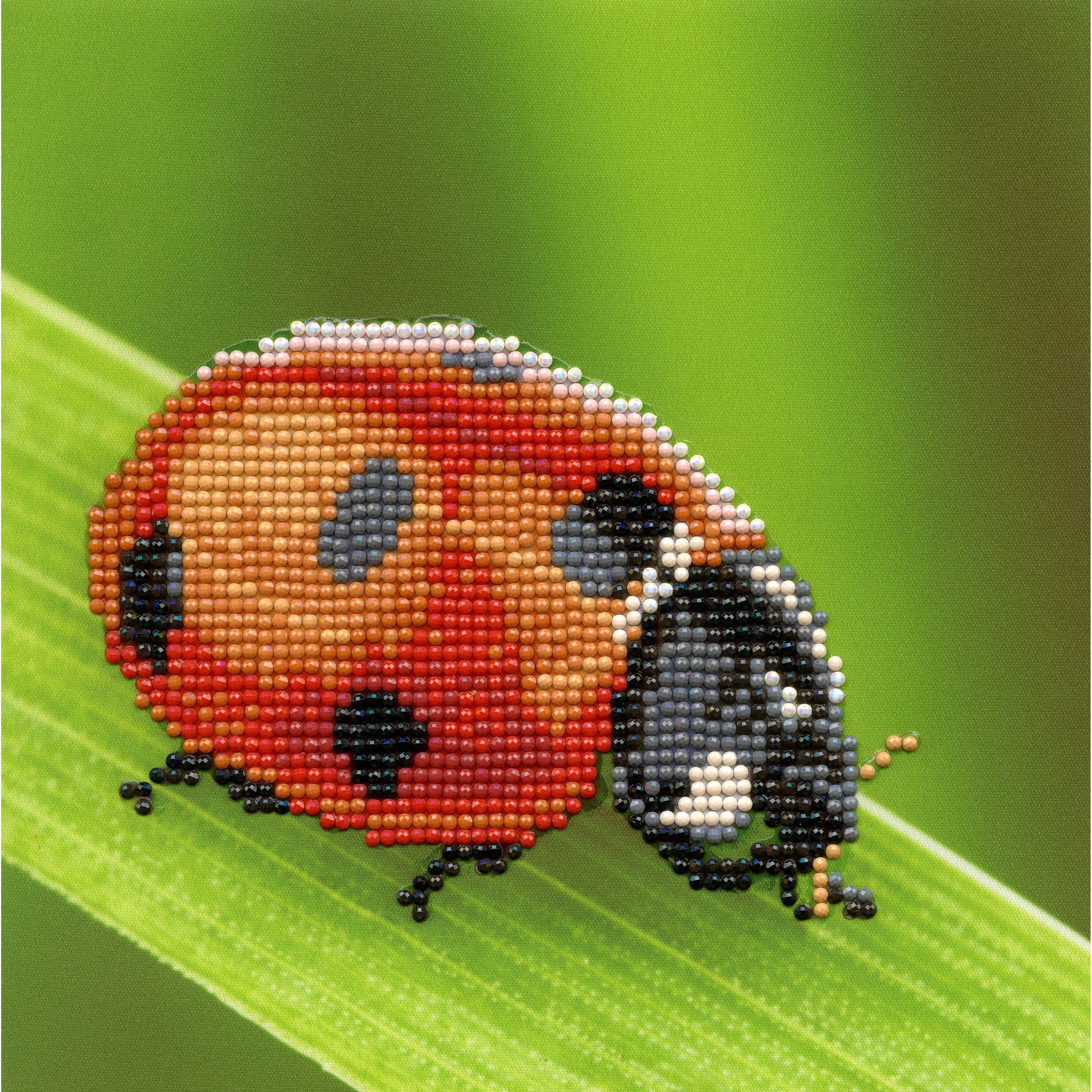Diamond Art Beginner Ladybug Paint by Number Kit