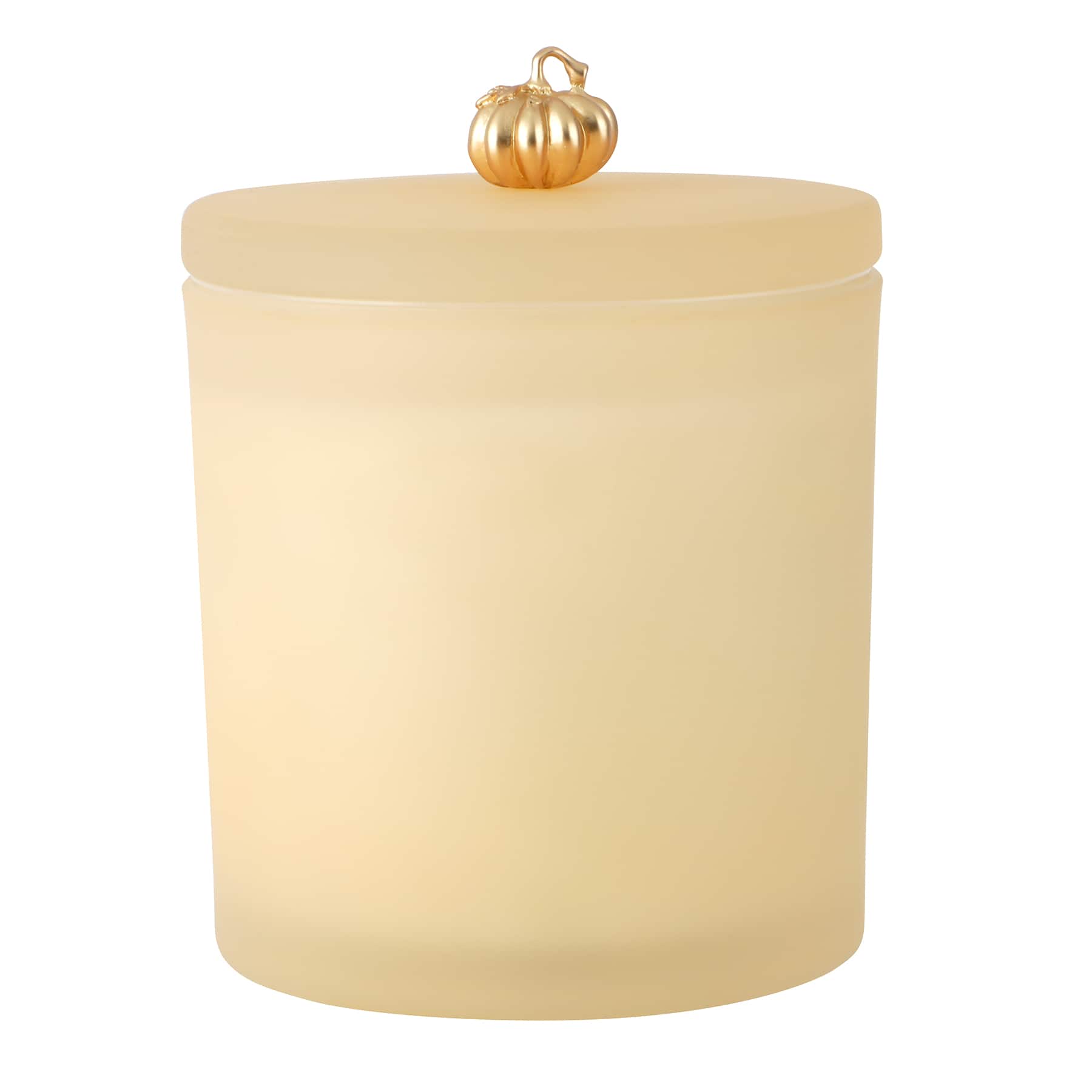 14oz. Scented Fall Icon Filled Candle in Frosted Glass Jar by Ashland®