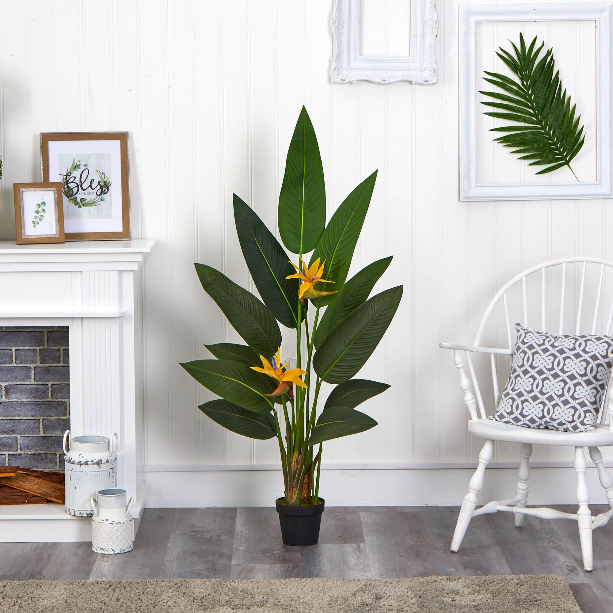 4.5ft. Potted Bird of Paradise Plant