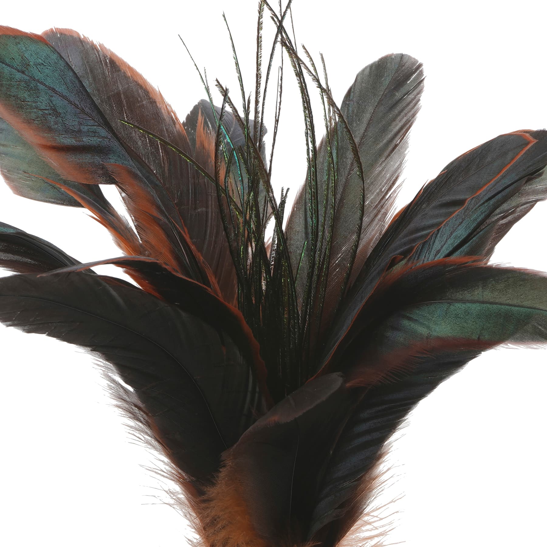 Chocolate Peacock Feather Pick by Ashland&#xAE;