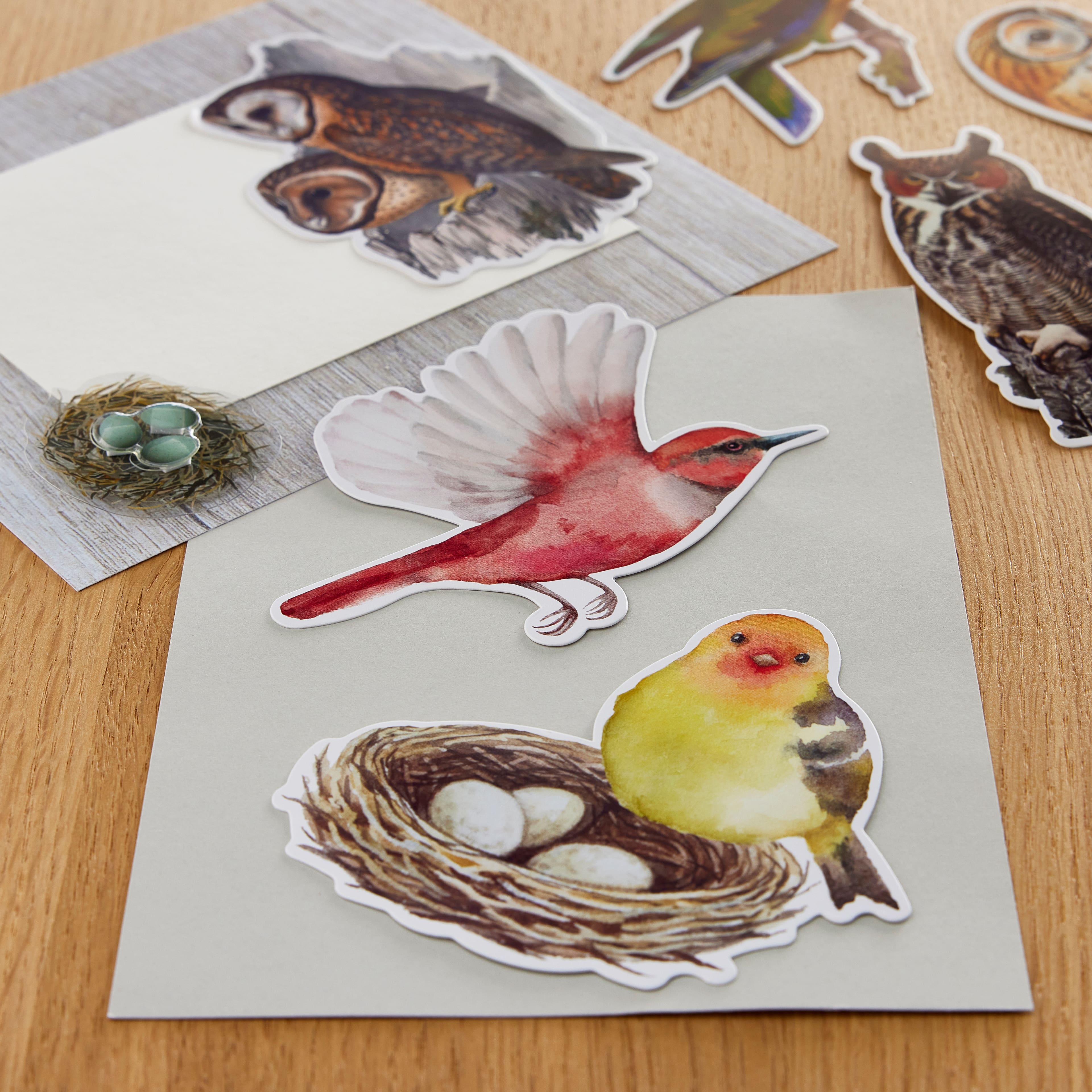 12 Pack: Birds Die Cut Stickers by Recollections™