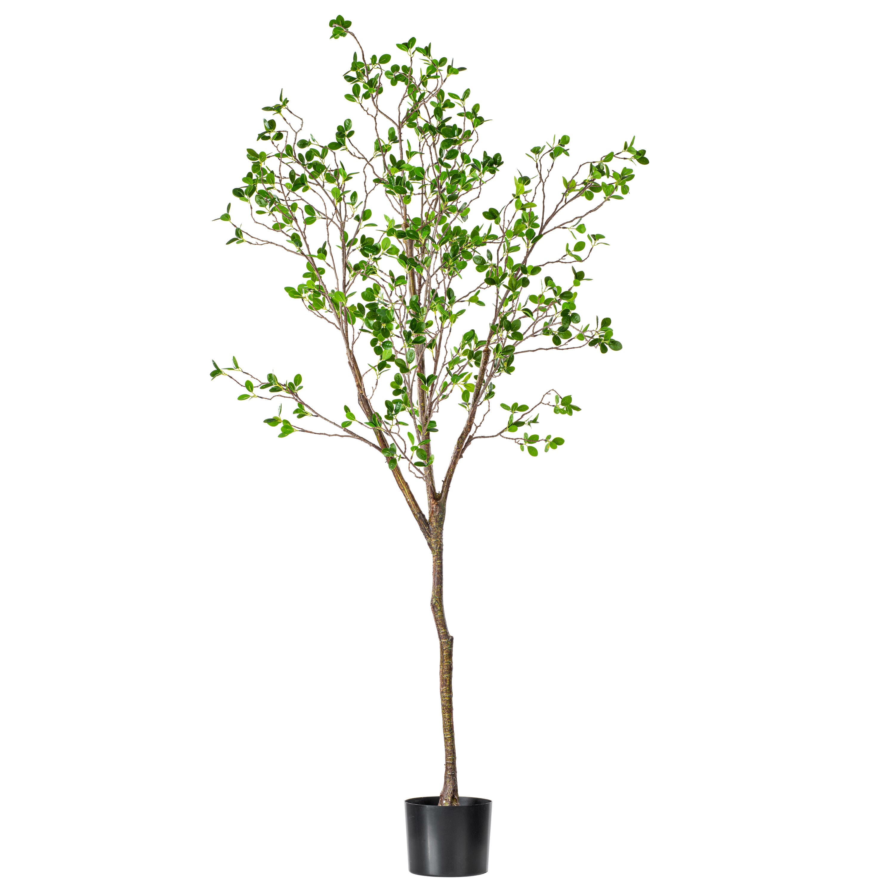 6ft. Potted Artificial Milan Leaf Tree