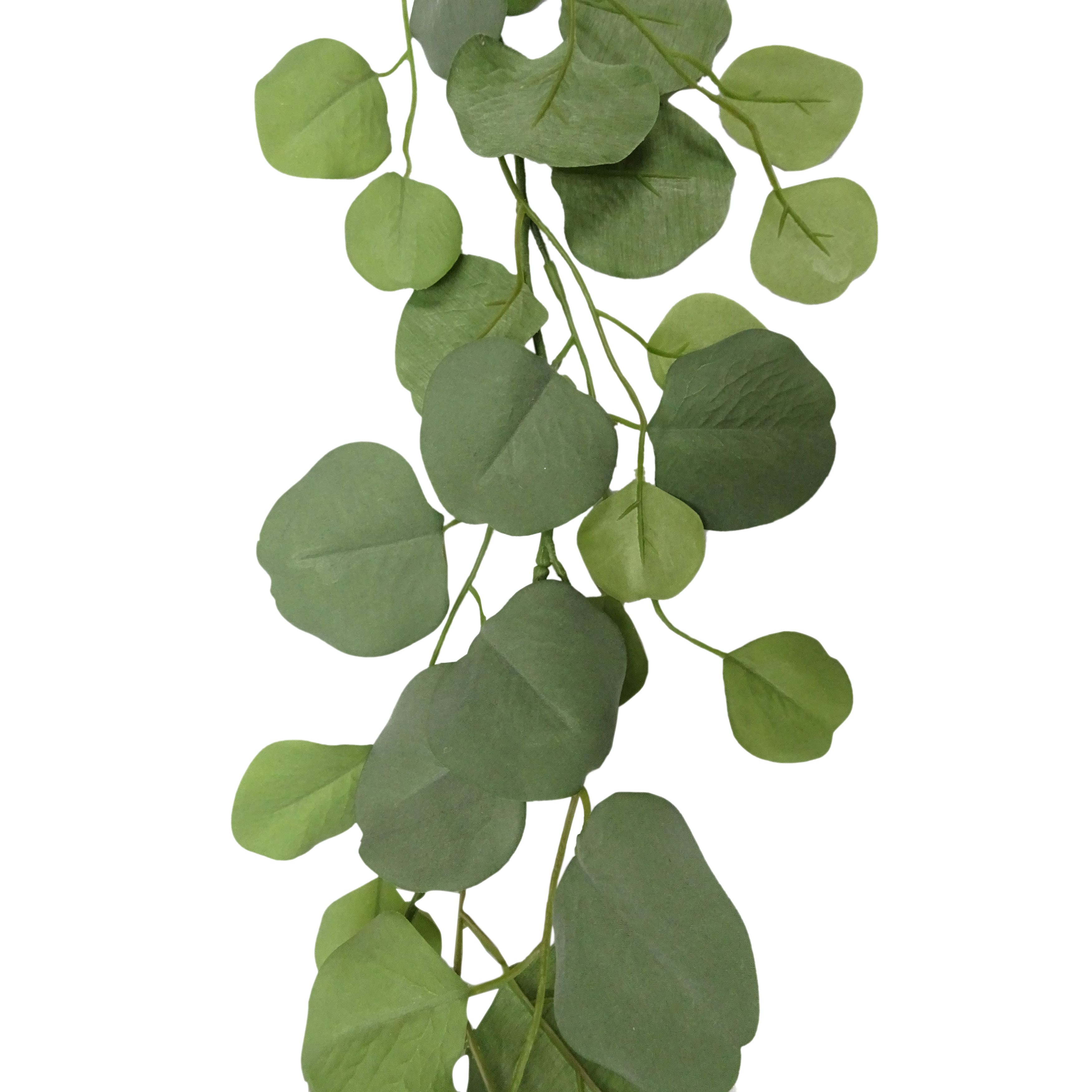 6ft. Eucalyptus Garland by Ashland®